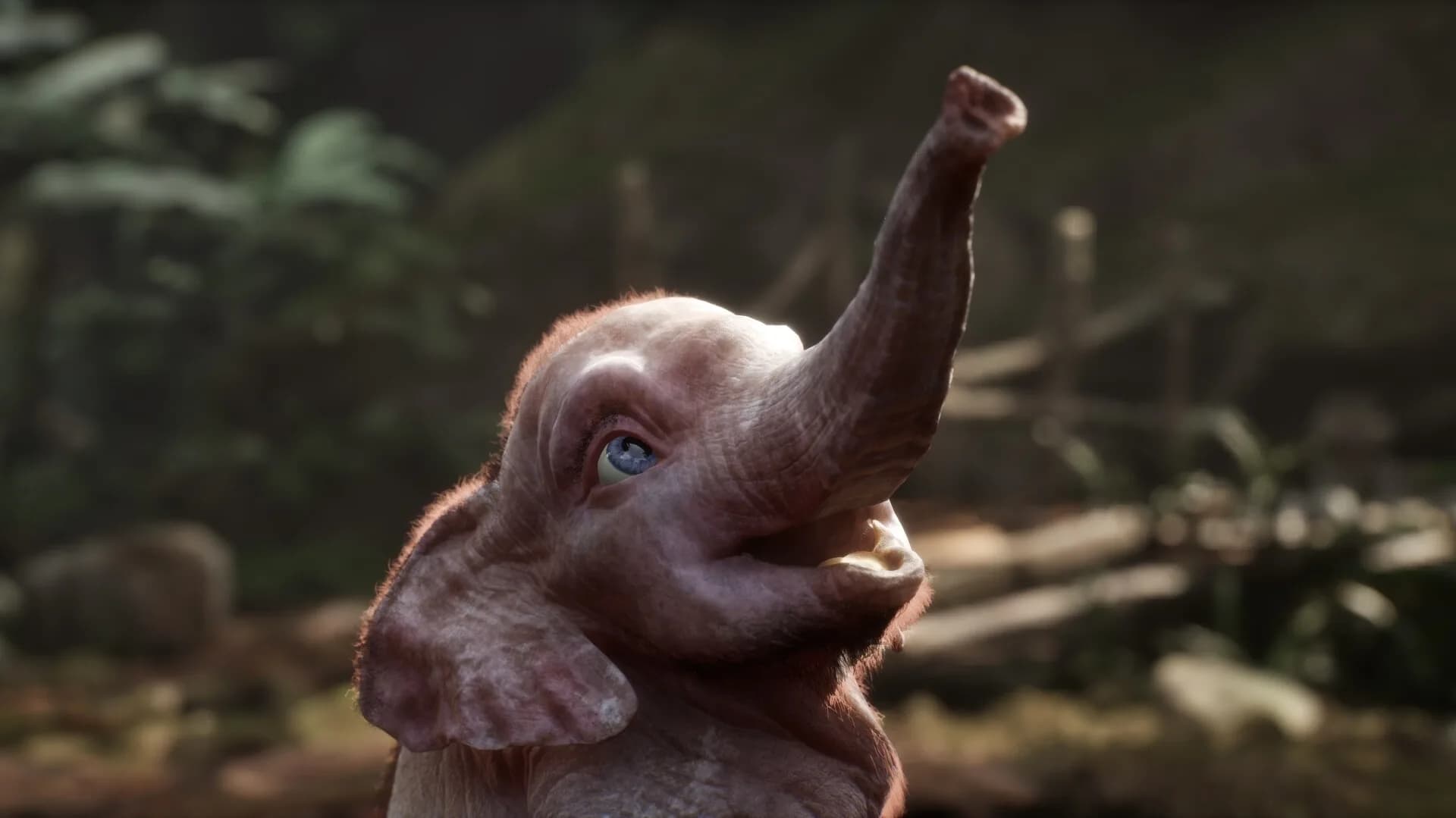 Hanno: A Magical Tale görsel 5