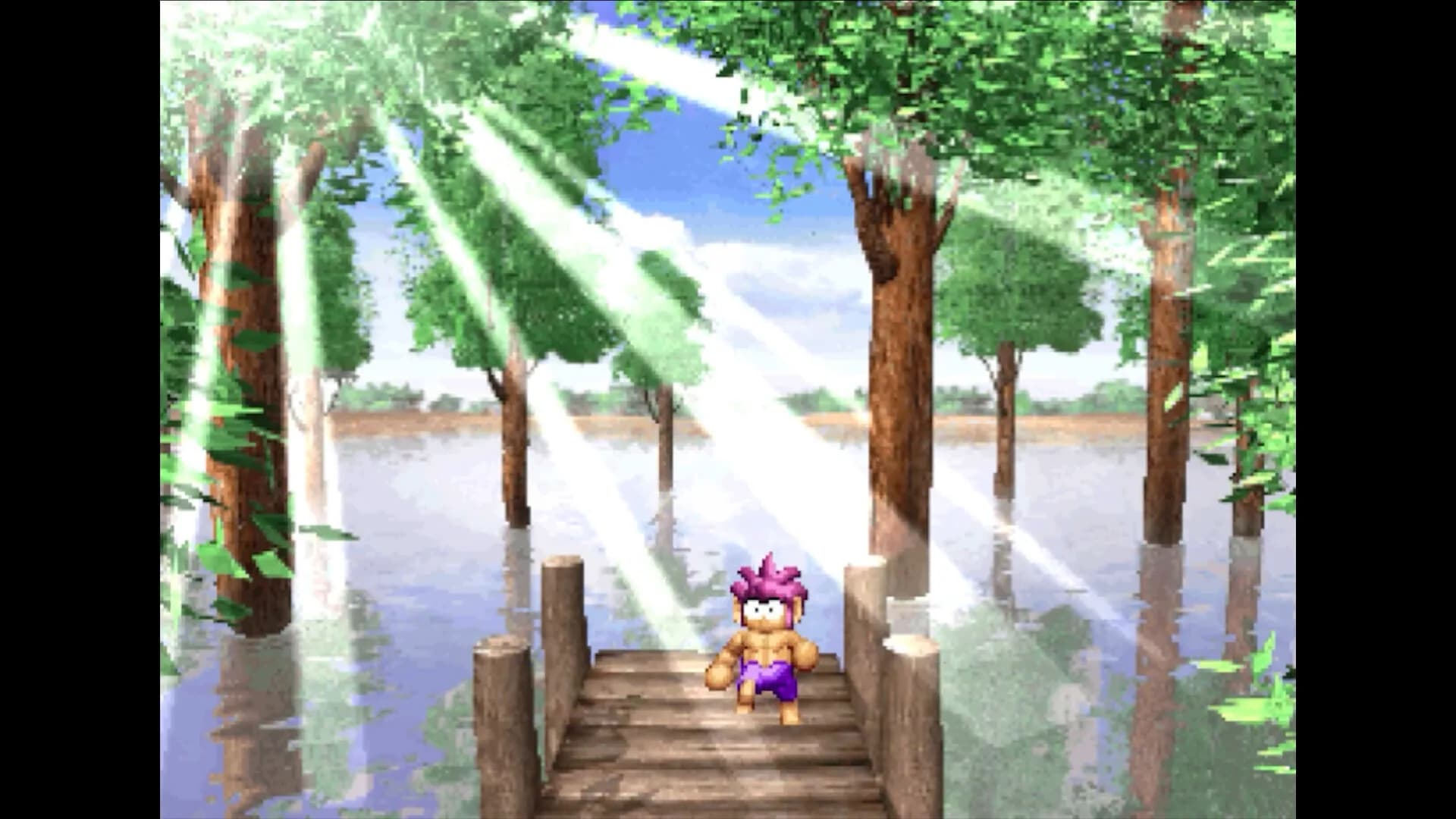 Tomba! Special Edition görsel 3