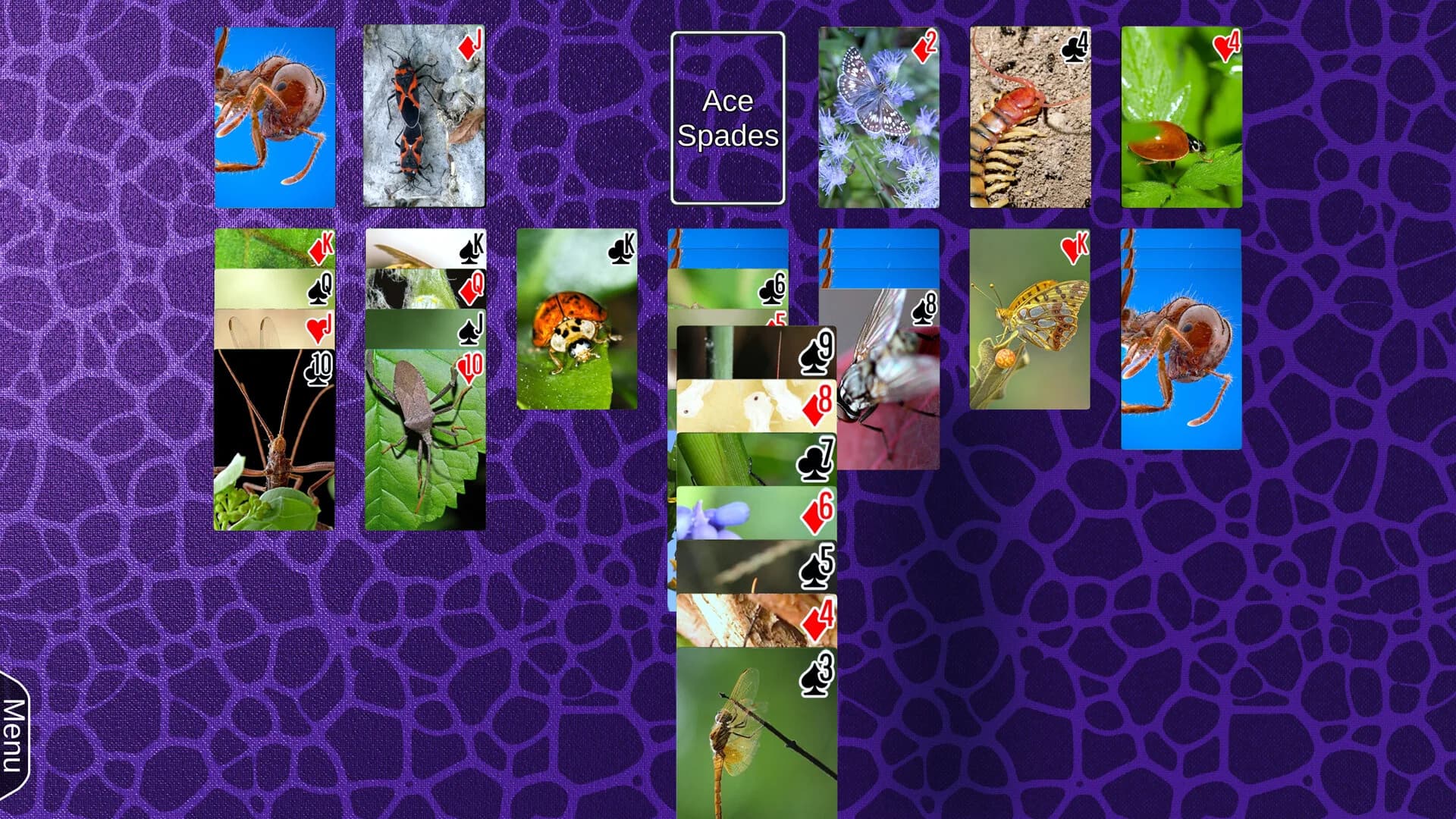 Wyvern Studios Solitaire: 30th Aniversary Edition görsel 4
