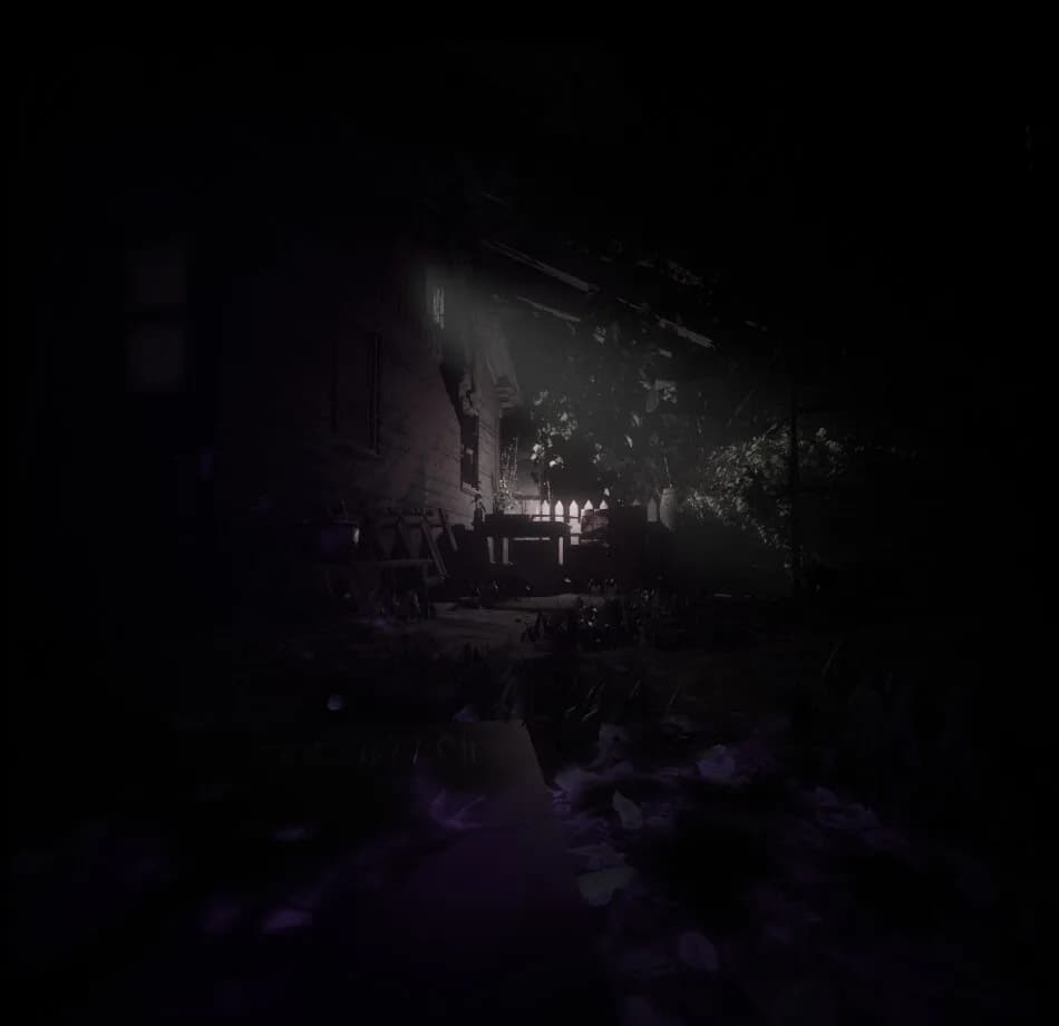 The Witch görsel 4