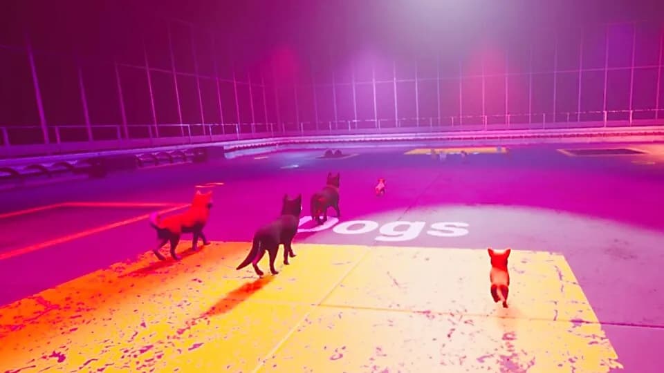 Claw Clash: Cat vs Dog Betting görsel 5