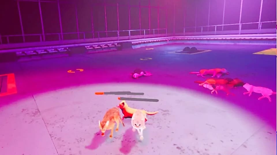 Claw Clash: Cat vs Dog Betting görsel 6