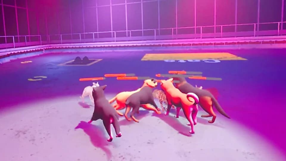 Claw Clash: Cat vs Dog Betting görsel 7