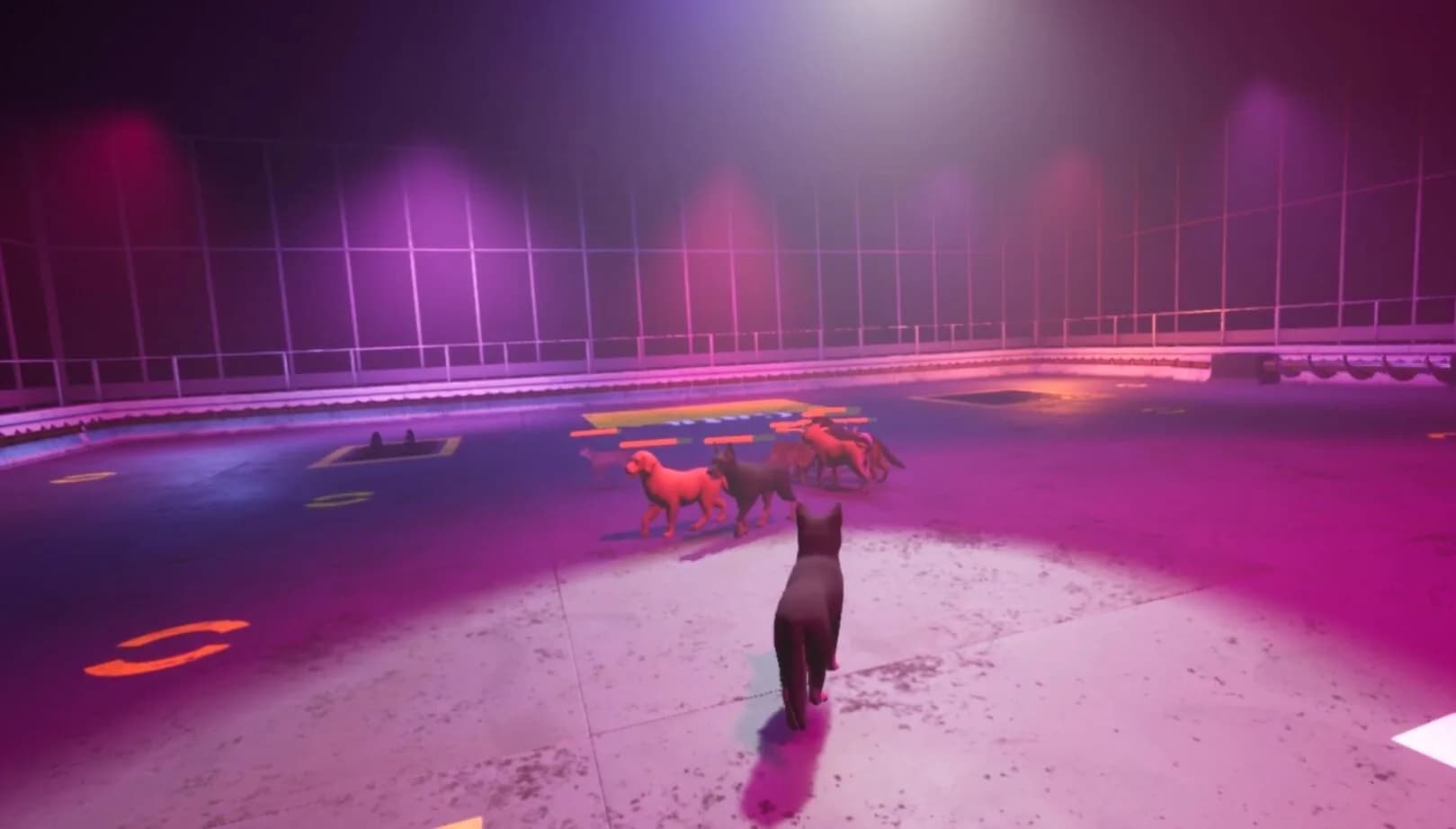 Claw Clash: Cat vs Dog Betting görsel 10