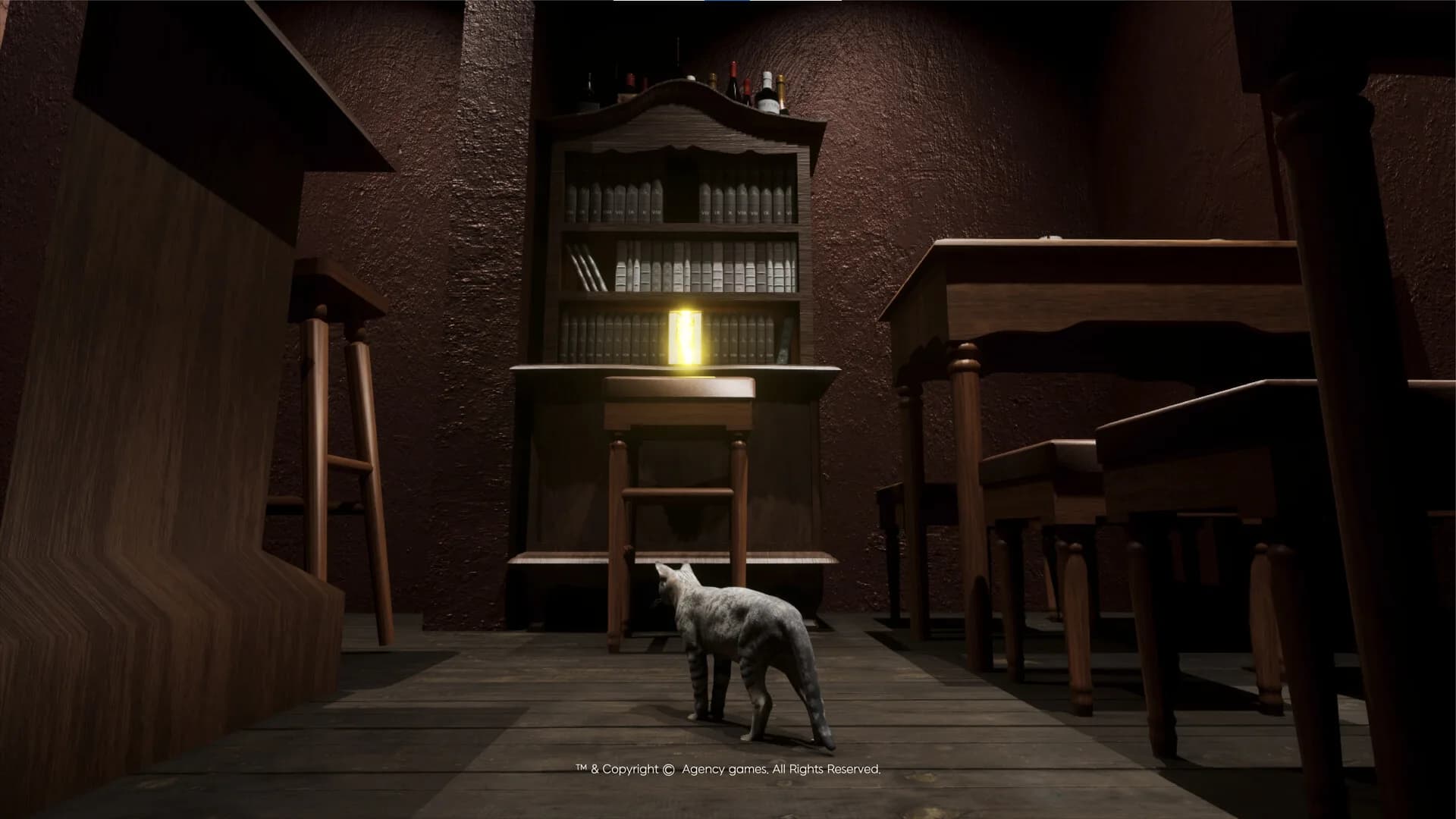 TAKE A LOOK görsel 4