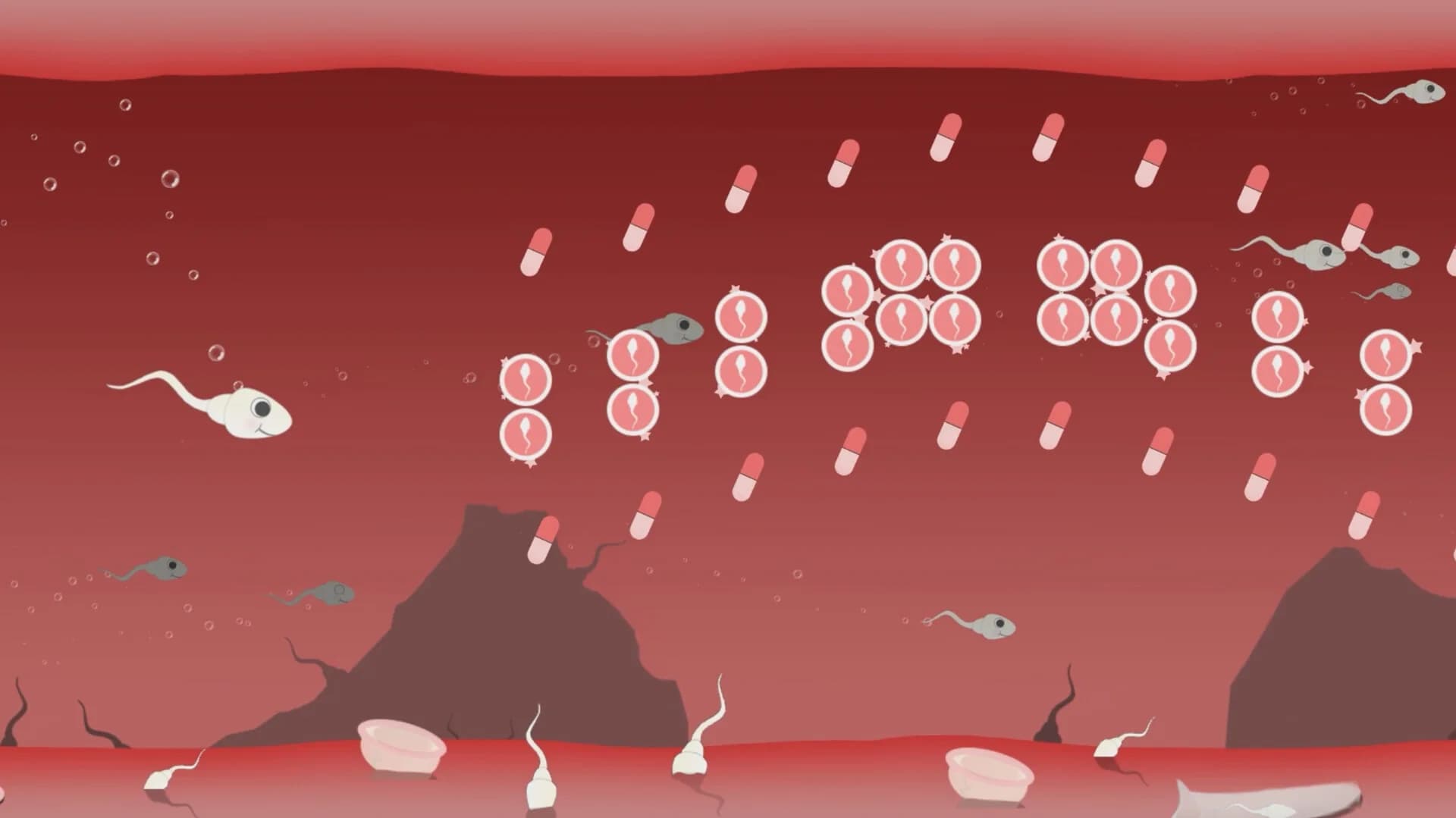 Fallopian Frenzy! Come Again? görsel 4