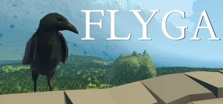Flyga görsel 1