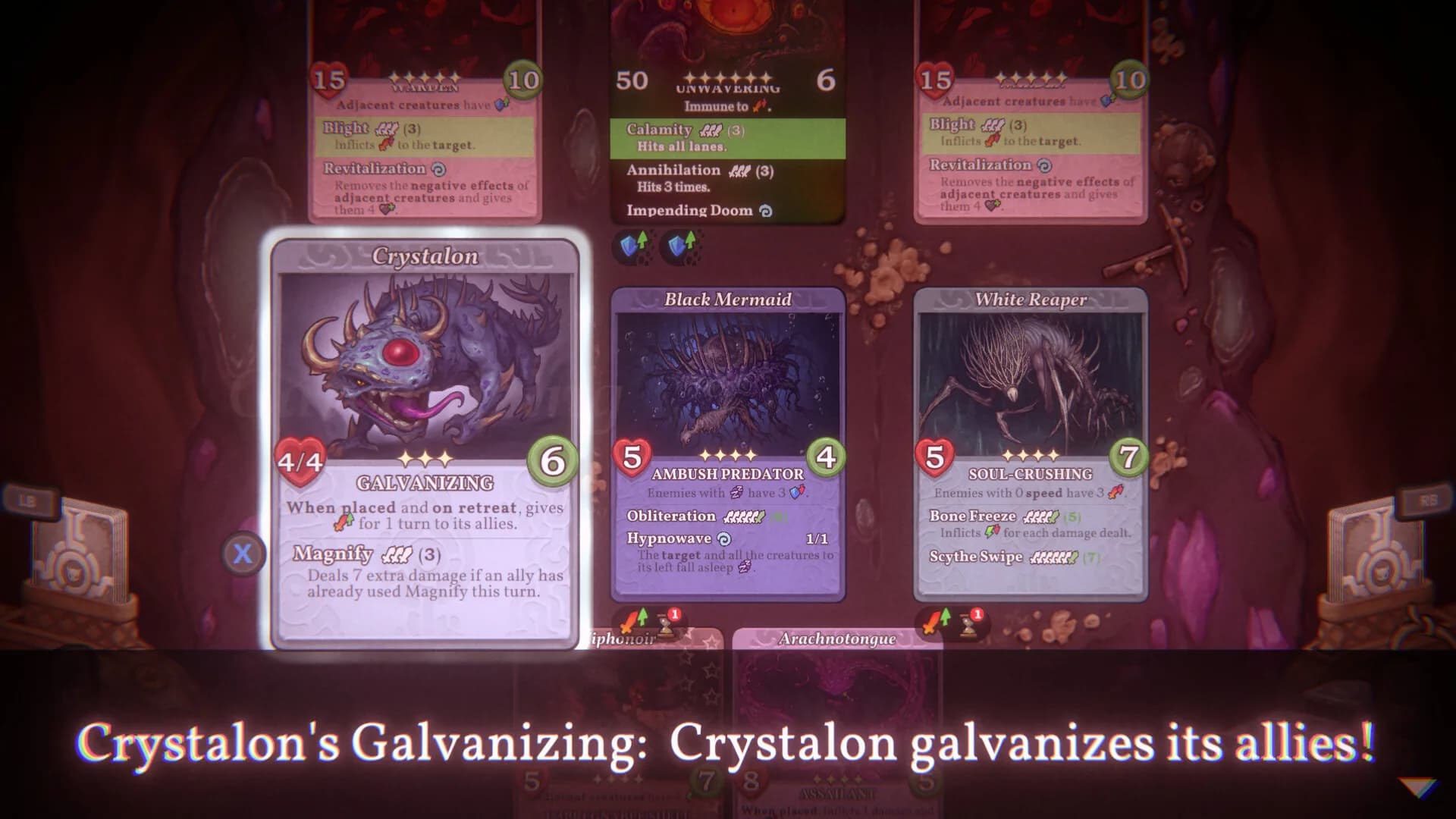 Decktamer görsel 13