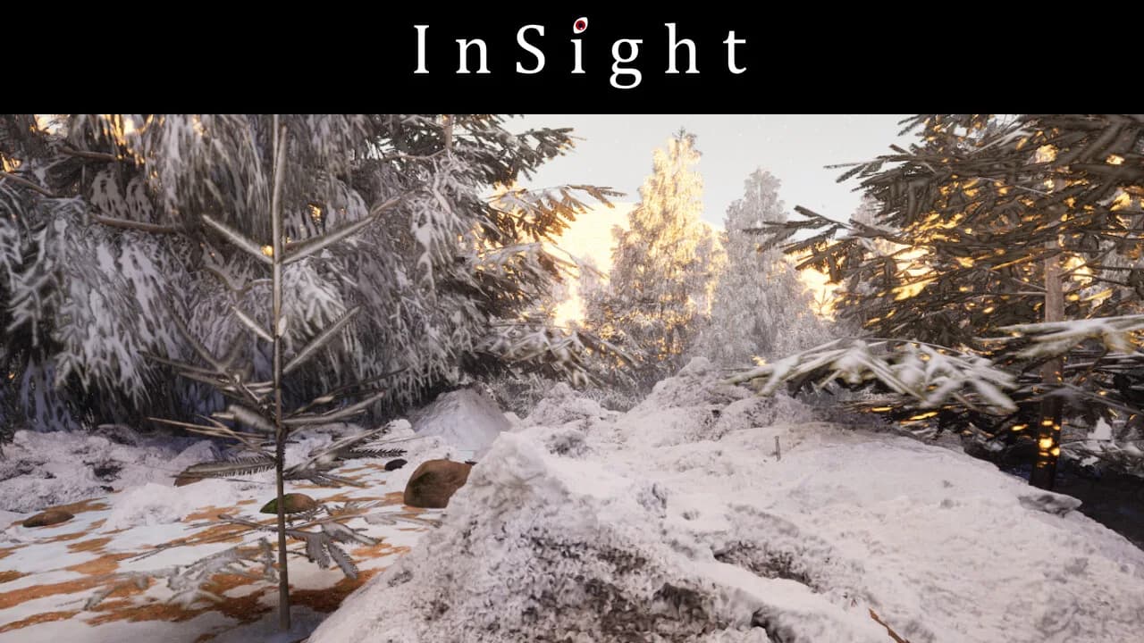 InSight görsel 12