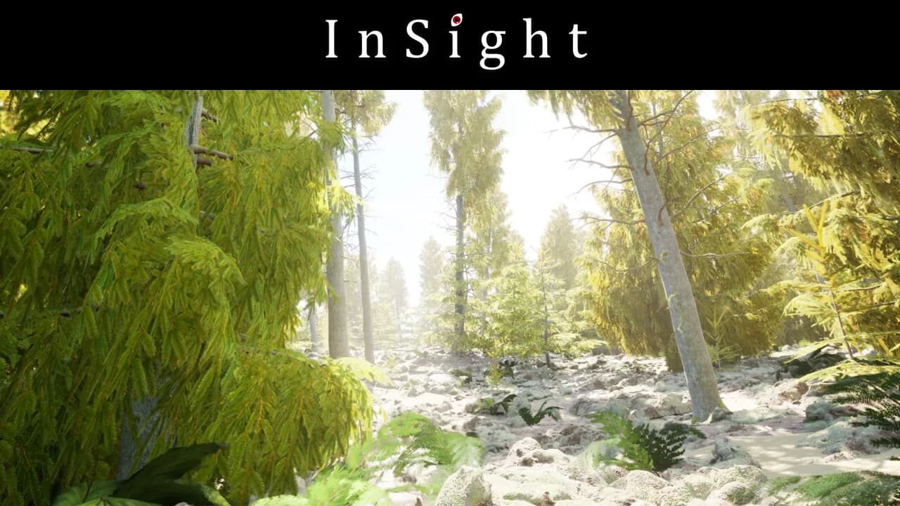 InSight görsel 16
