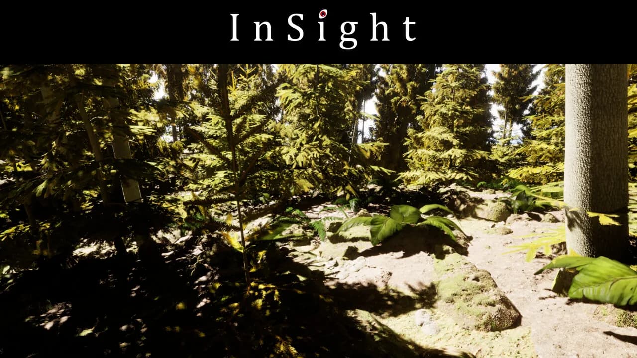 InSight görsel 17