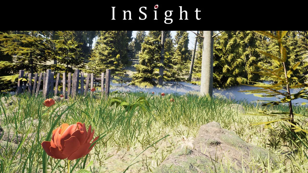 InSight görsel 10