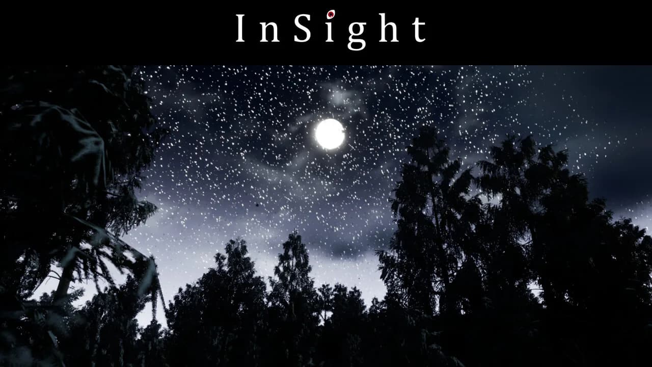 InSight görsel 11