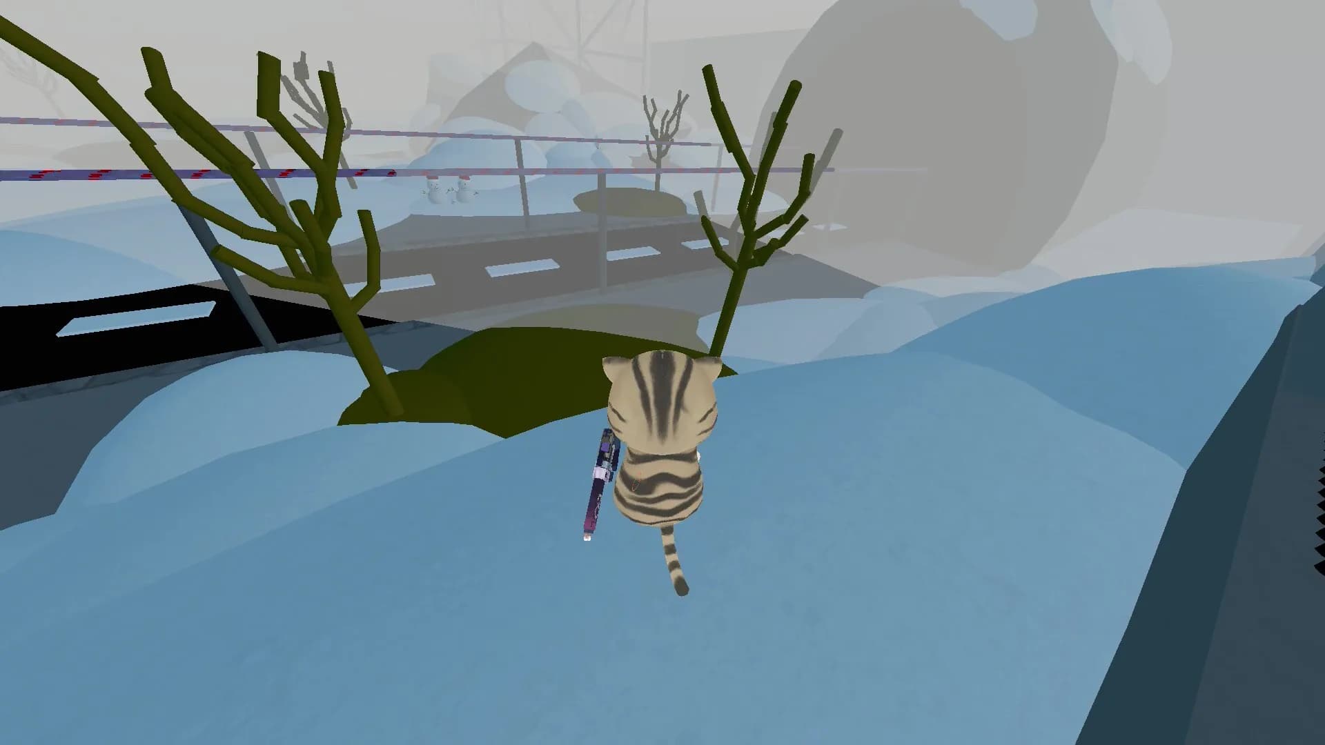 CatTag: Create görsel 6