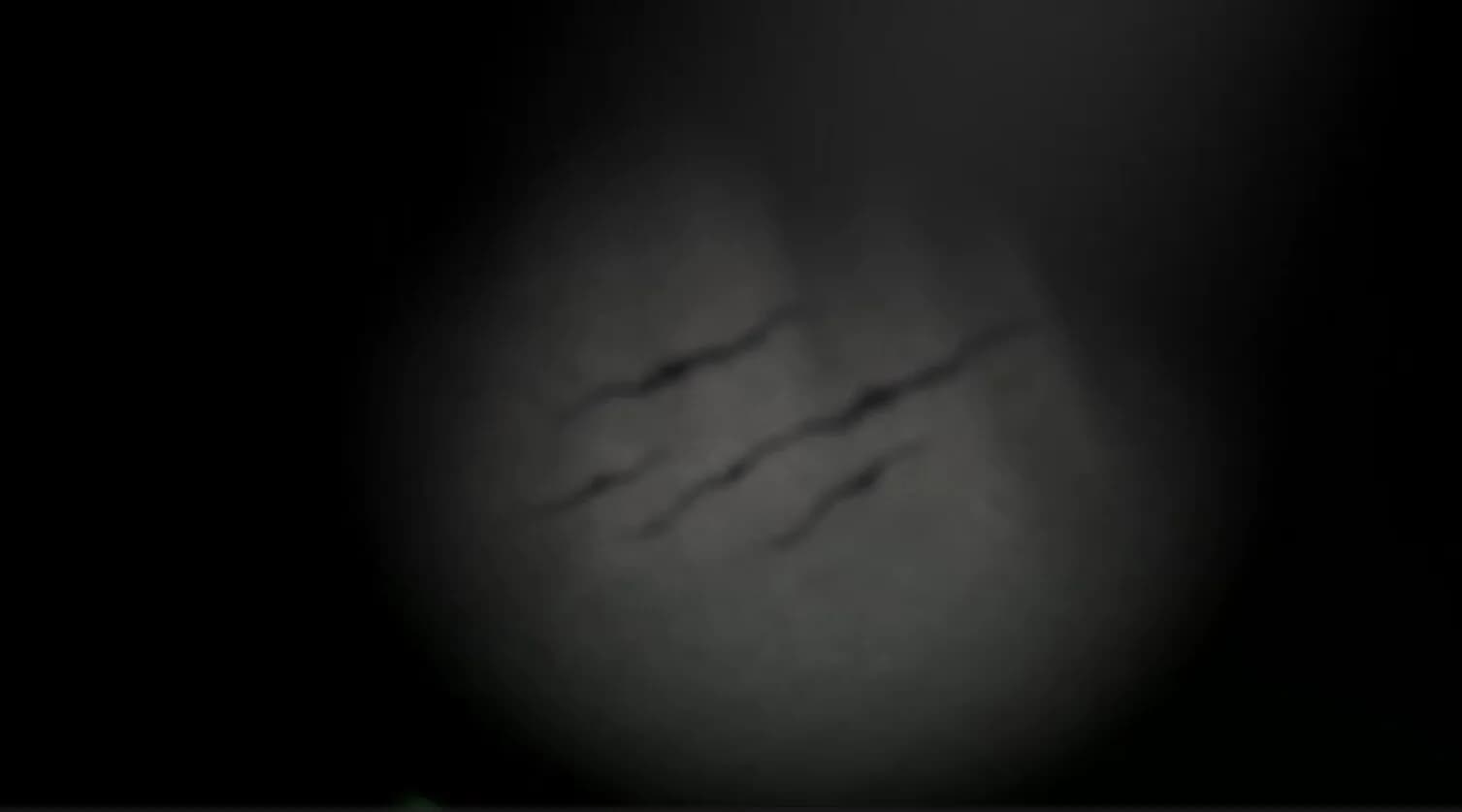 Somnium Tenebris görsel 2