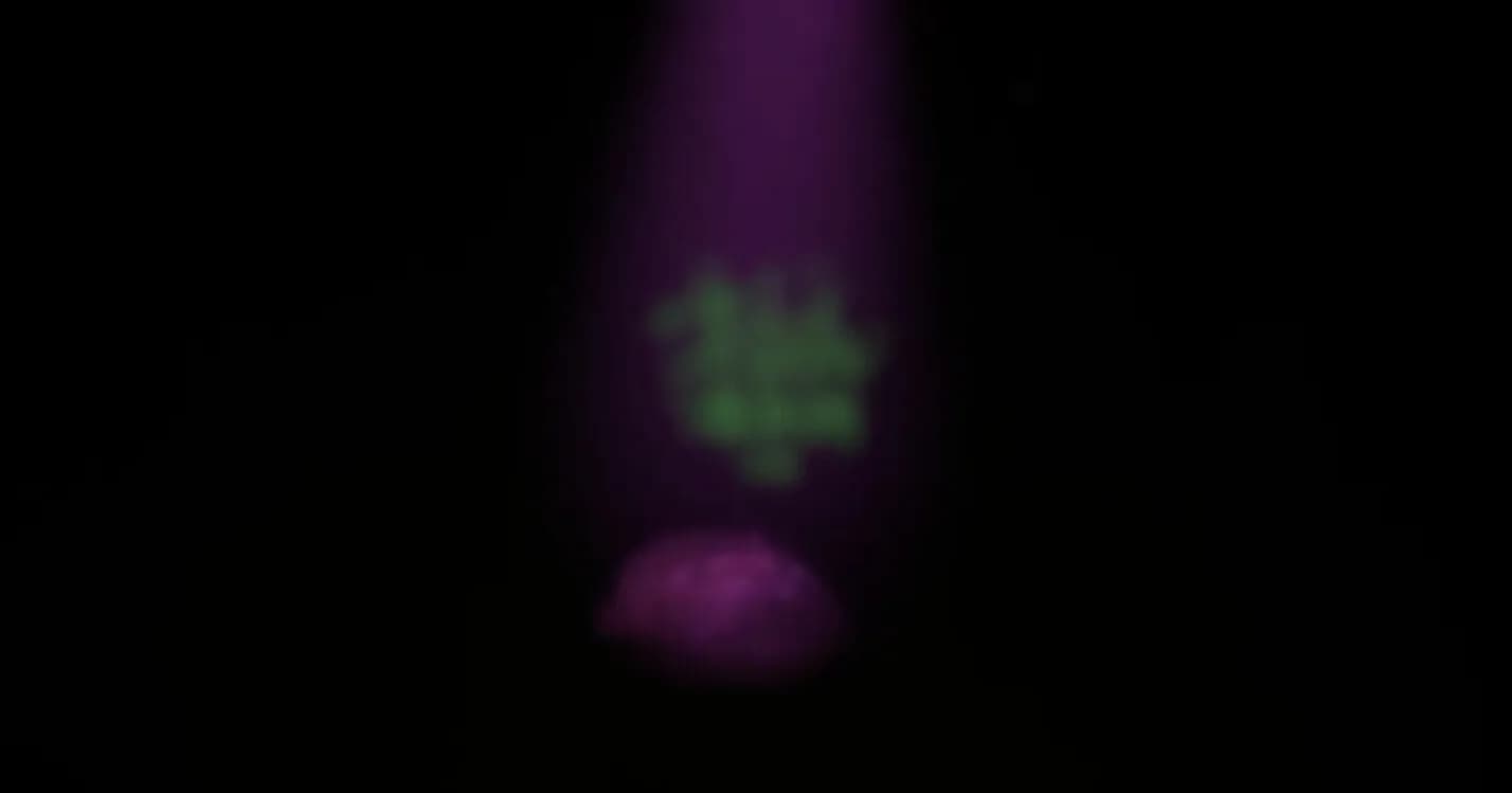 Somnium Tenebris görsel 8
