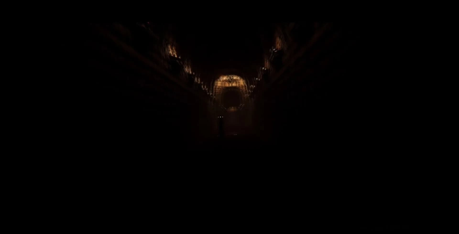 Echo of the DarkZone görsel 5