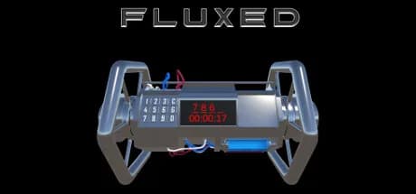 Fluxed görsel 1
