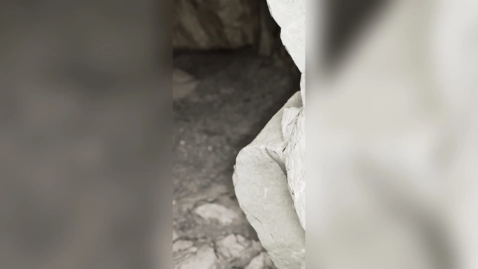 HOLLOW EARTH görsel 3