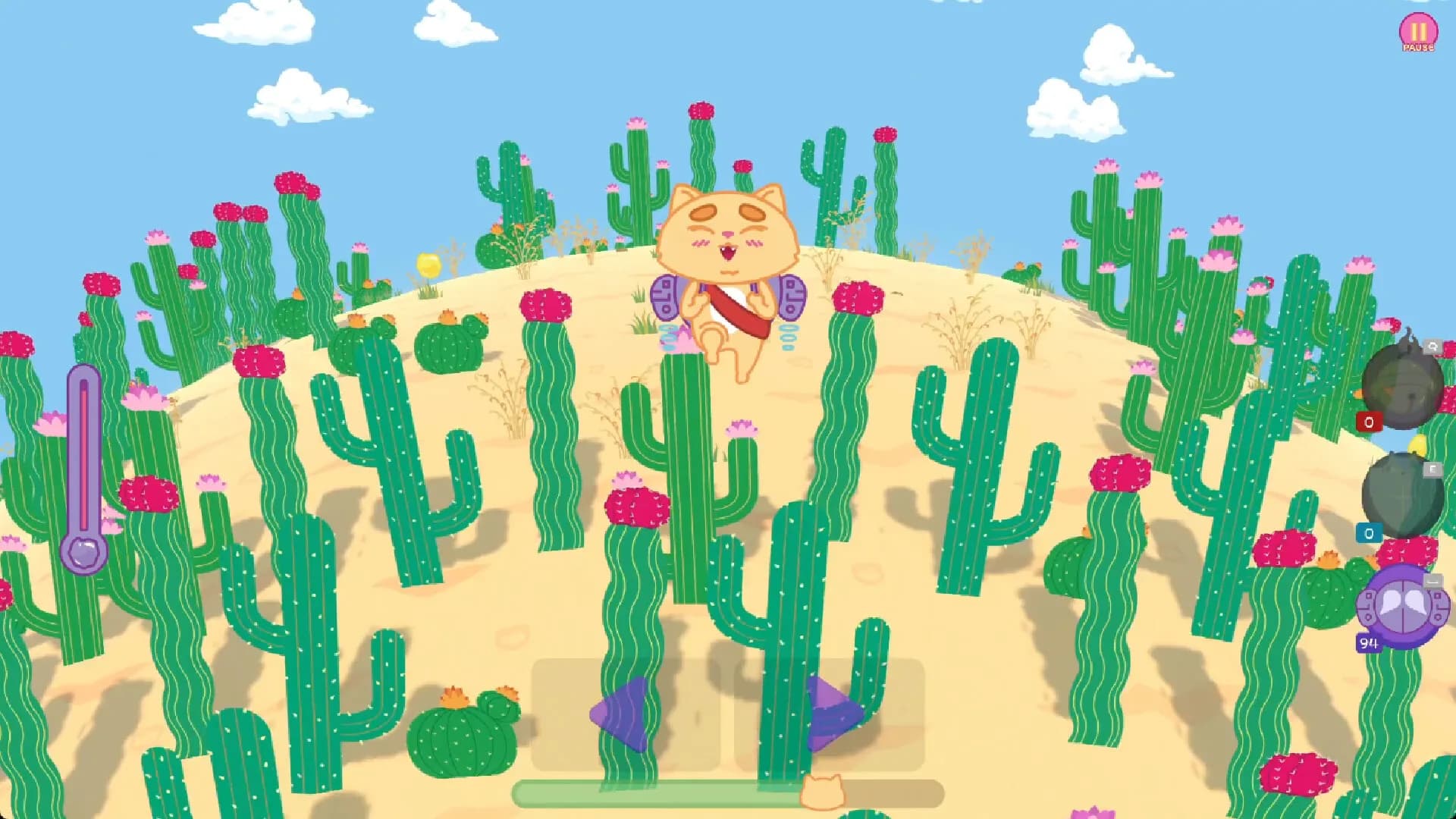 Kiwie vs Desert görsel 2