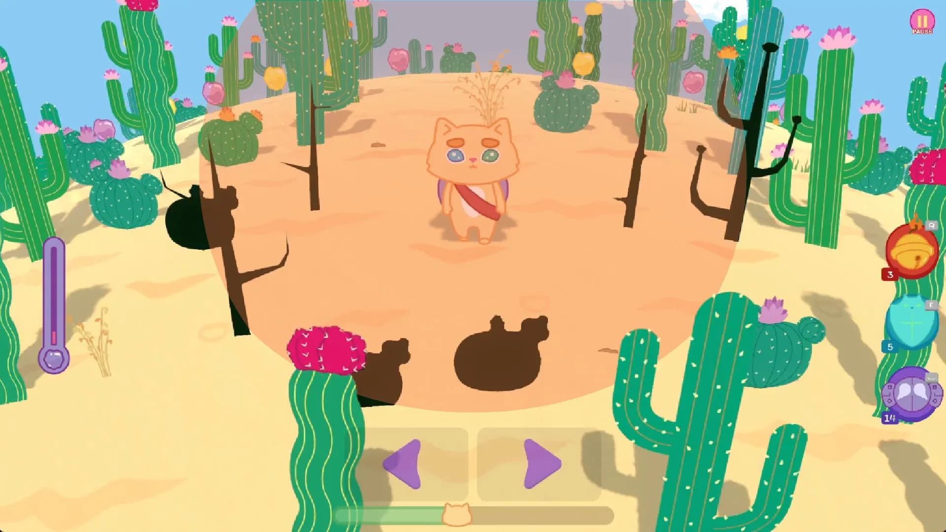 Kiwie vs Desert görsel 4