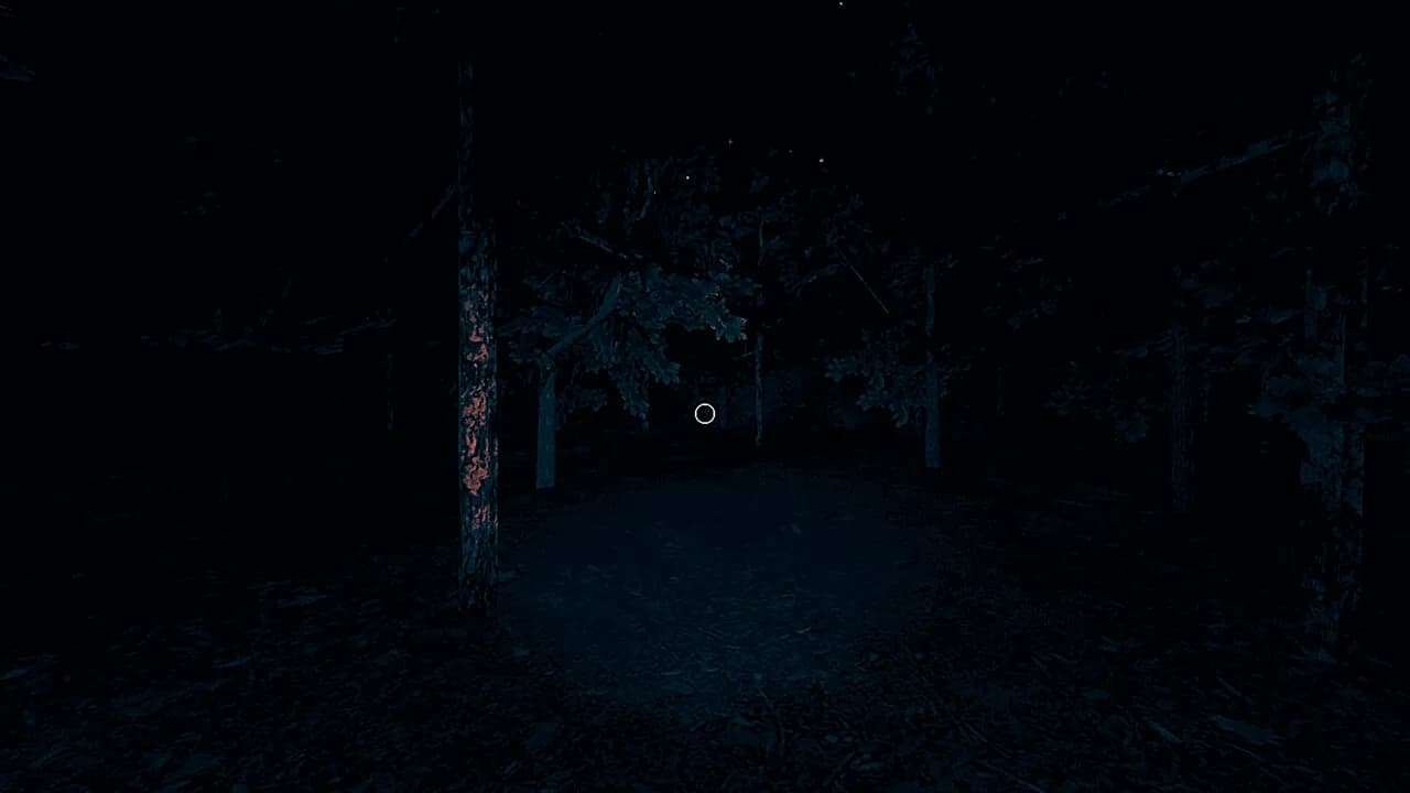 Void Whispers görsel 12