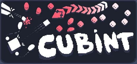 Cubint görsel 1