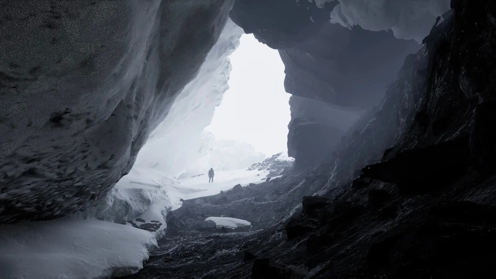 Cryptica görsel 3
