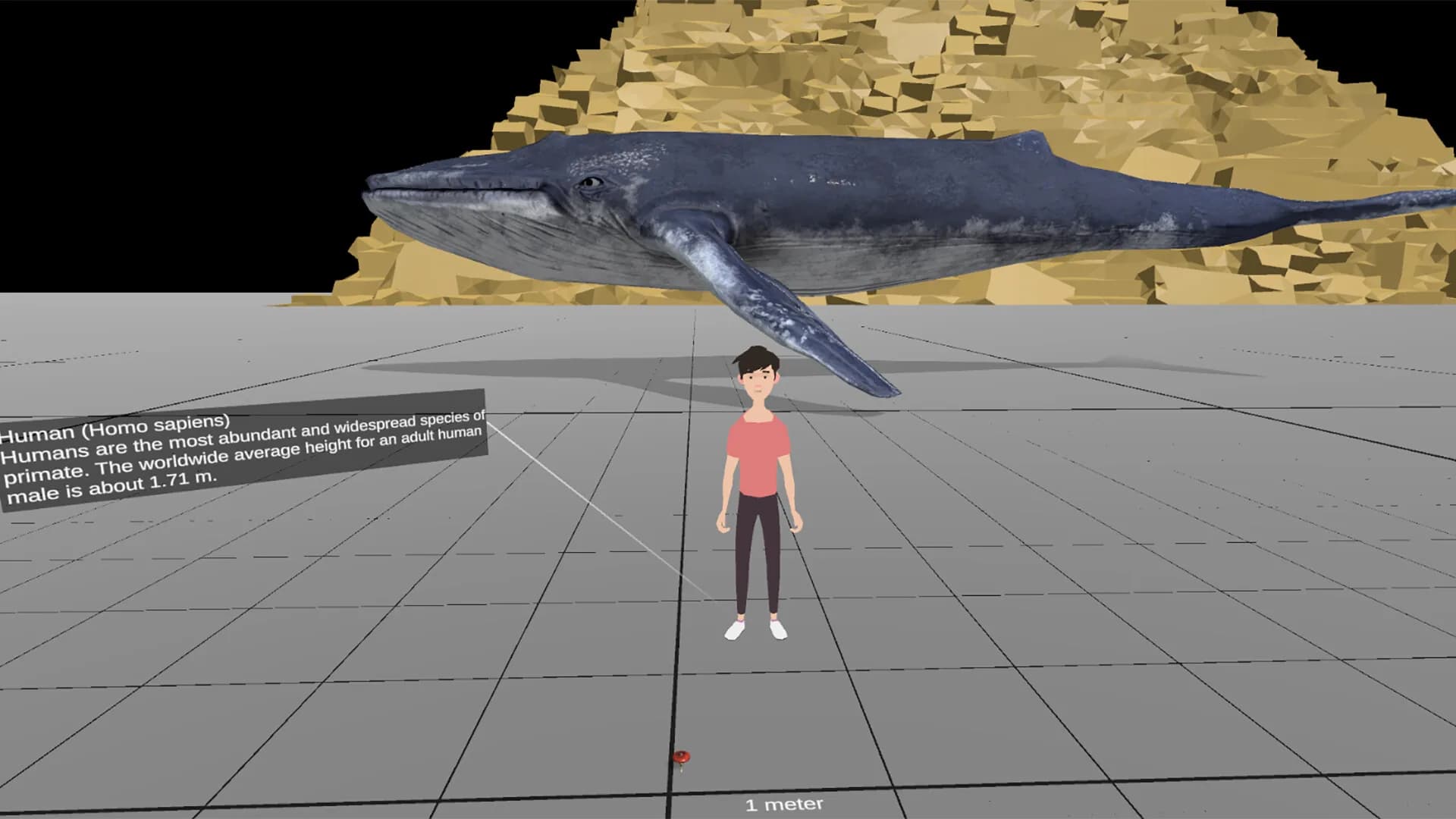 Universe Size Comparison VR görsel 2