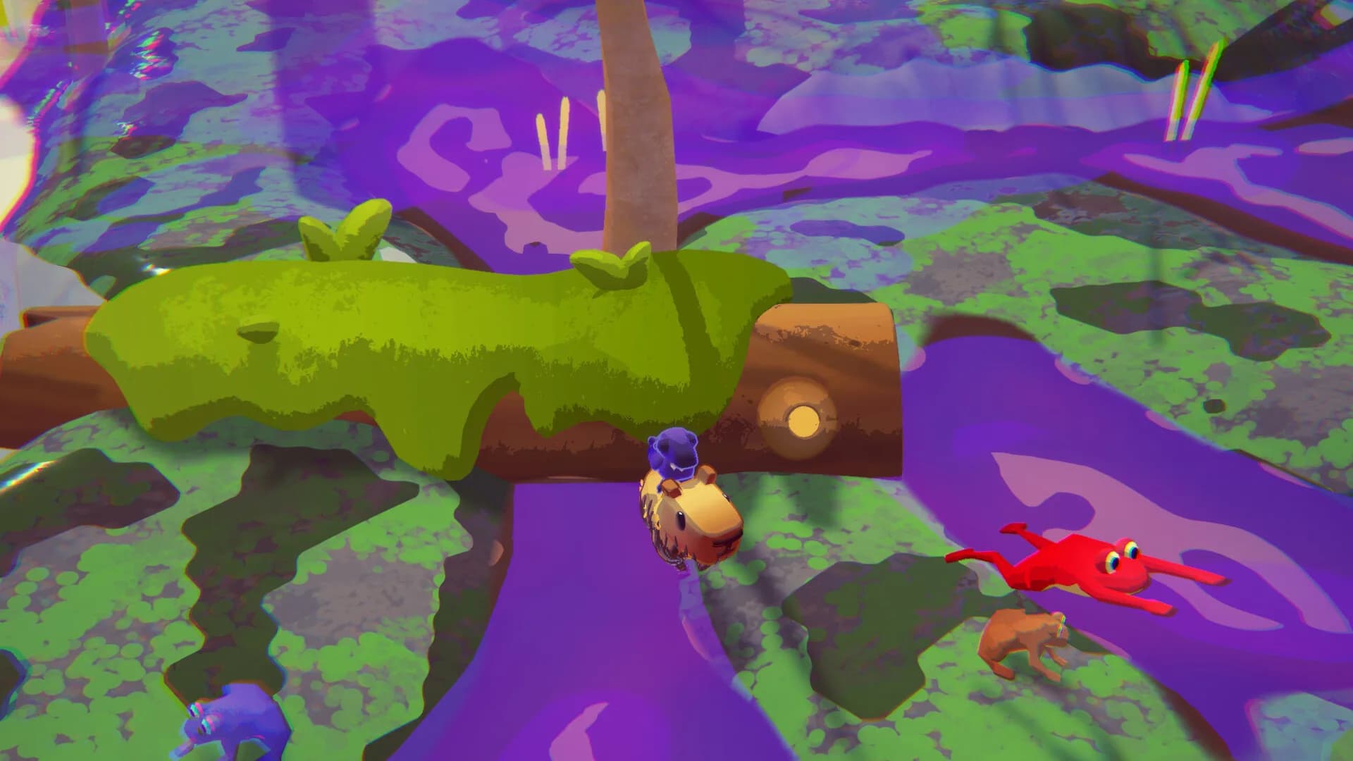 Capy Castaway görsel 9
