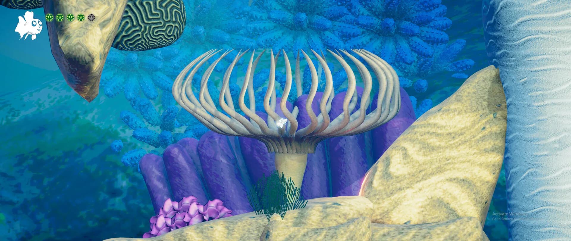 Coralium görsel 6
