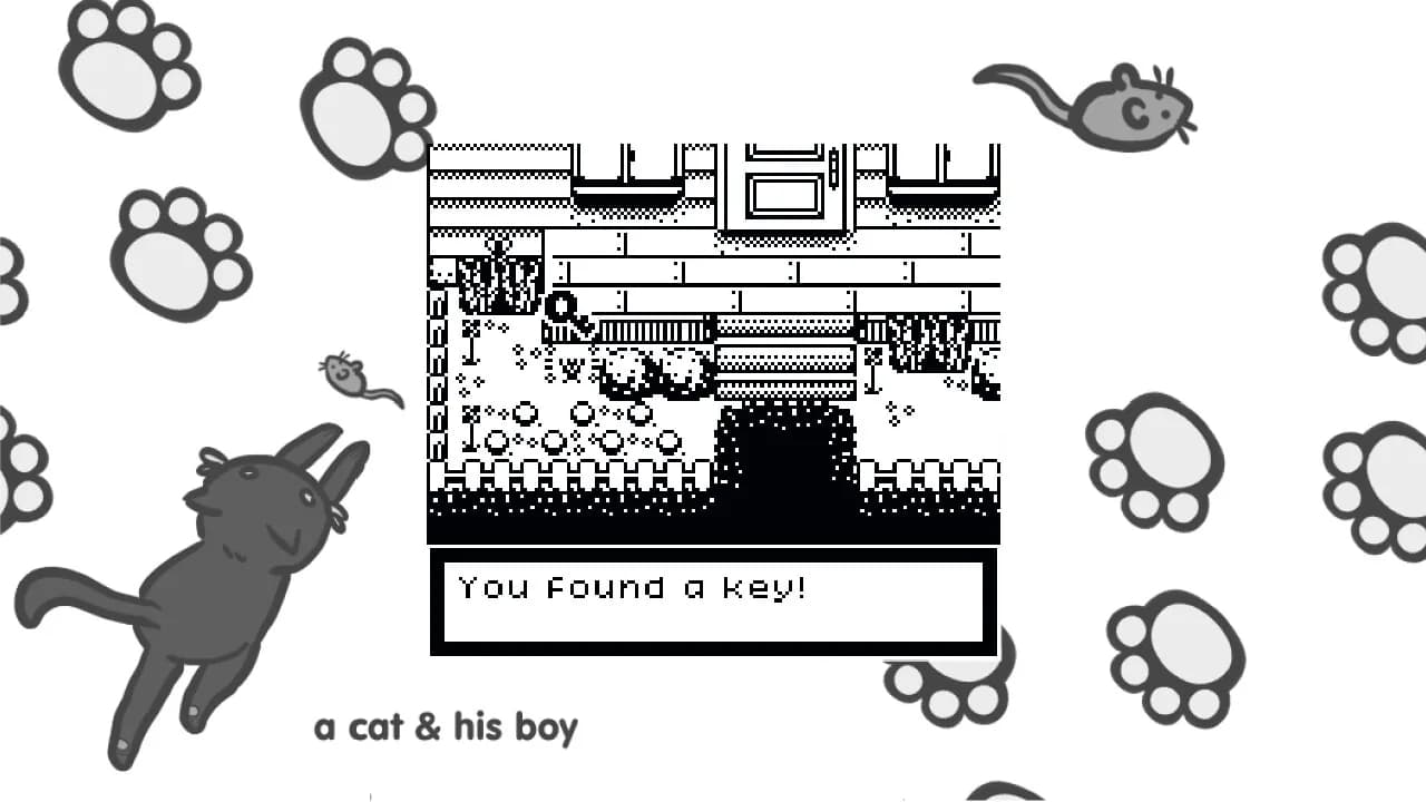 A Cat & His Boy görsel 4