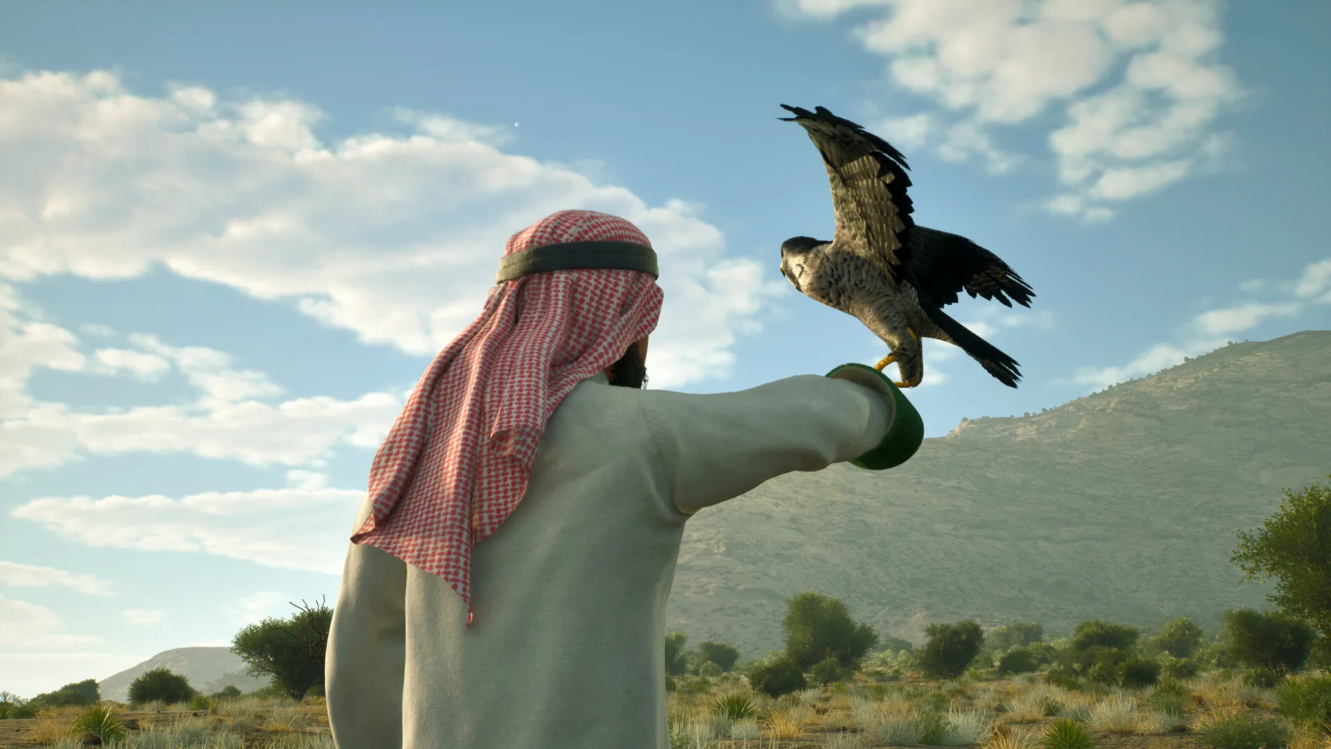 Enter Falconry görsel 3