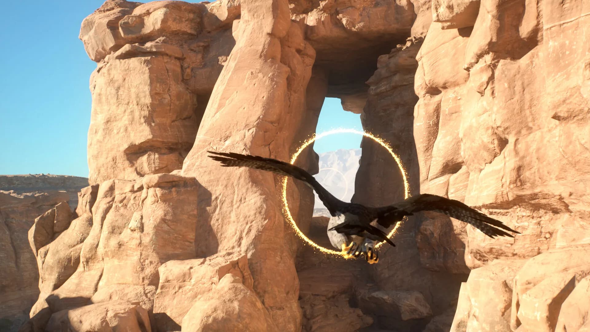 Enter Falconry görsel 5