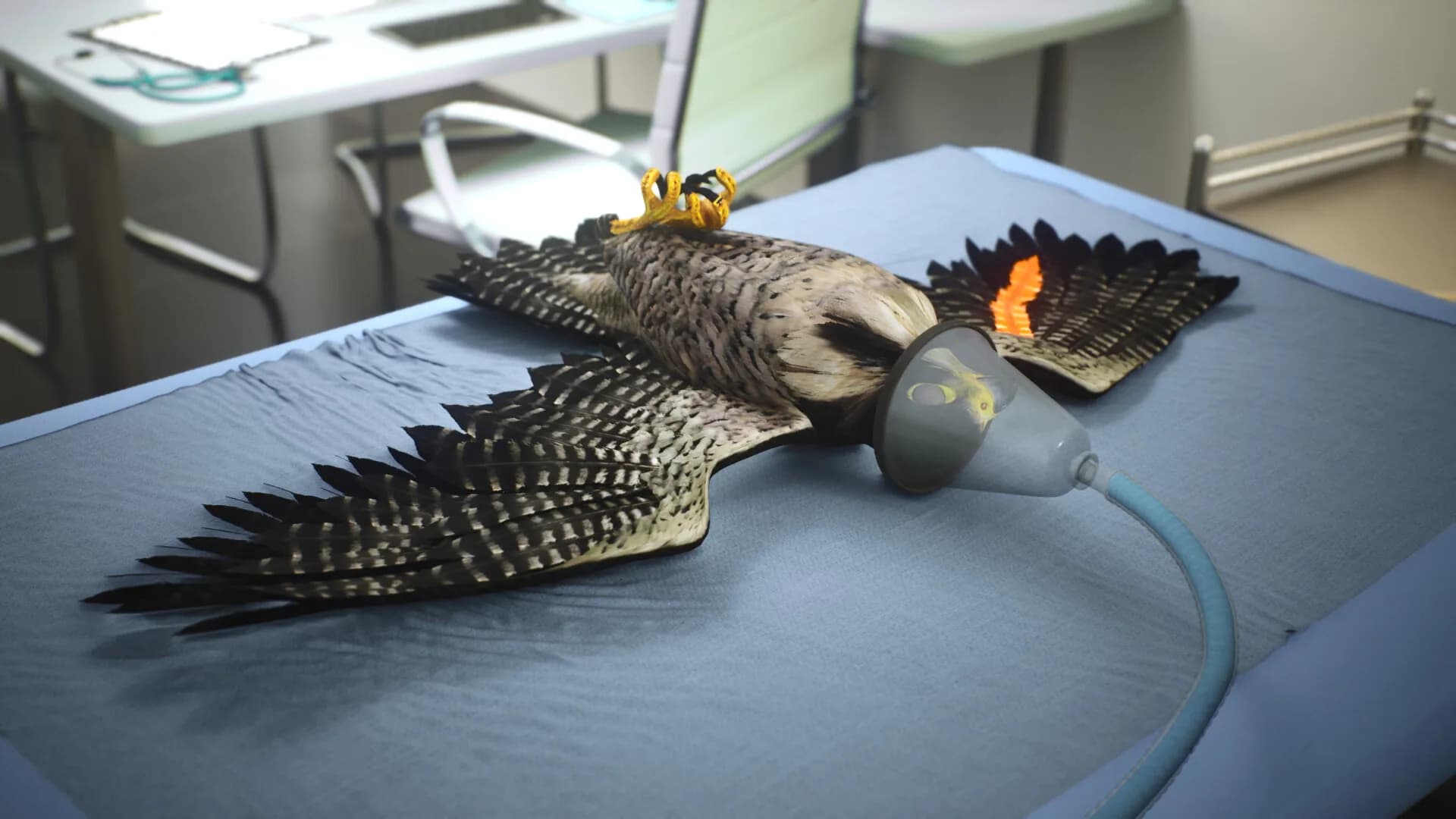 Enter Falconry görsel 8