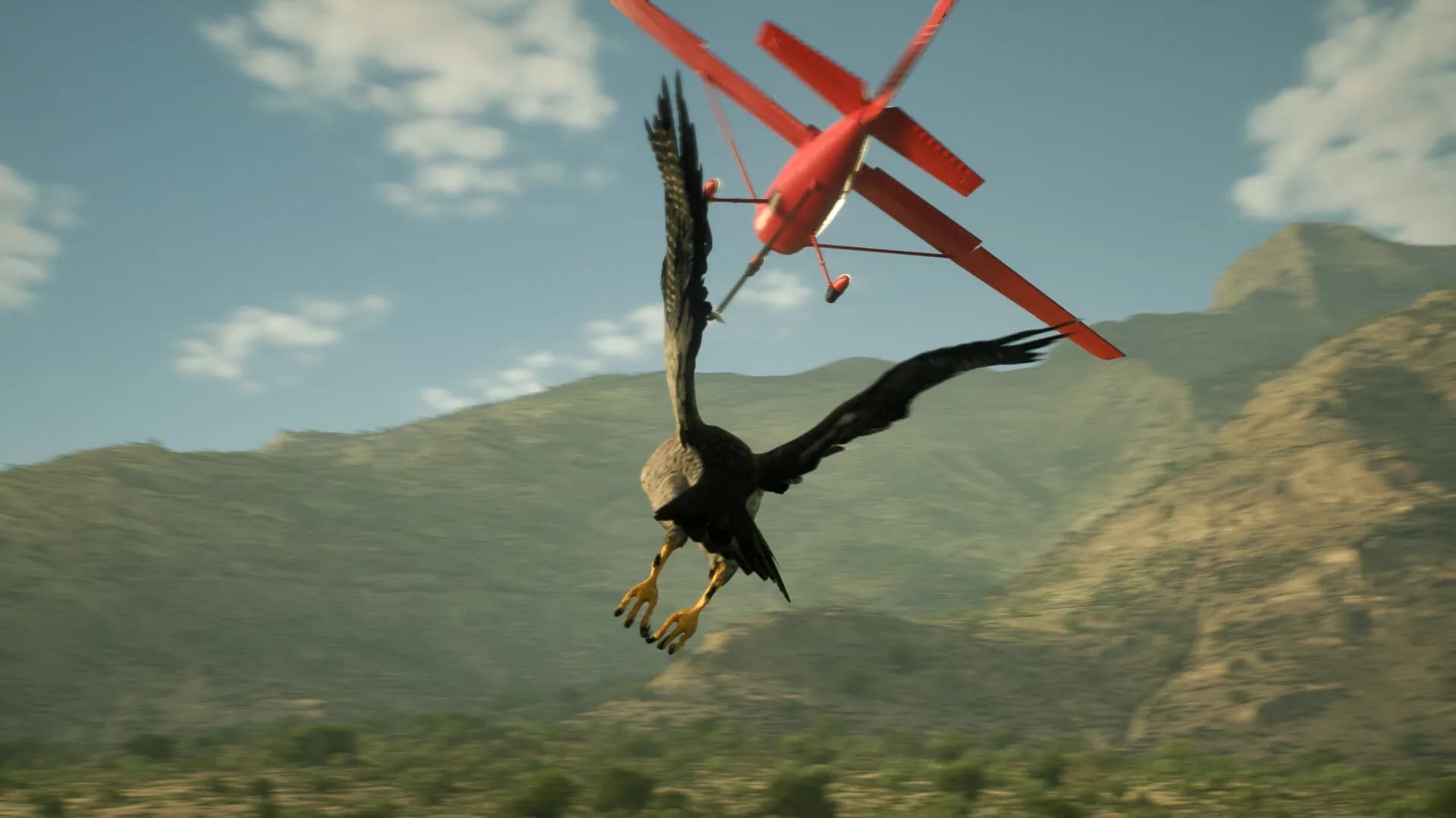 Enter Falconry görsel 10