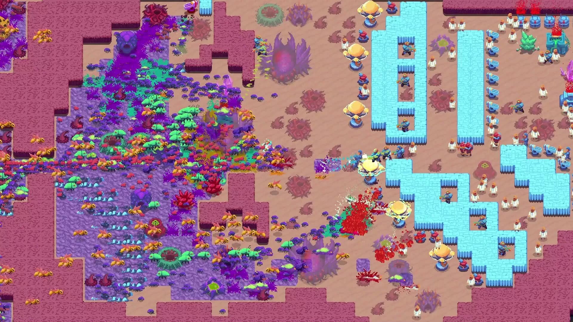 Buggos 2 görsel 3
