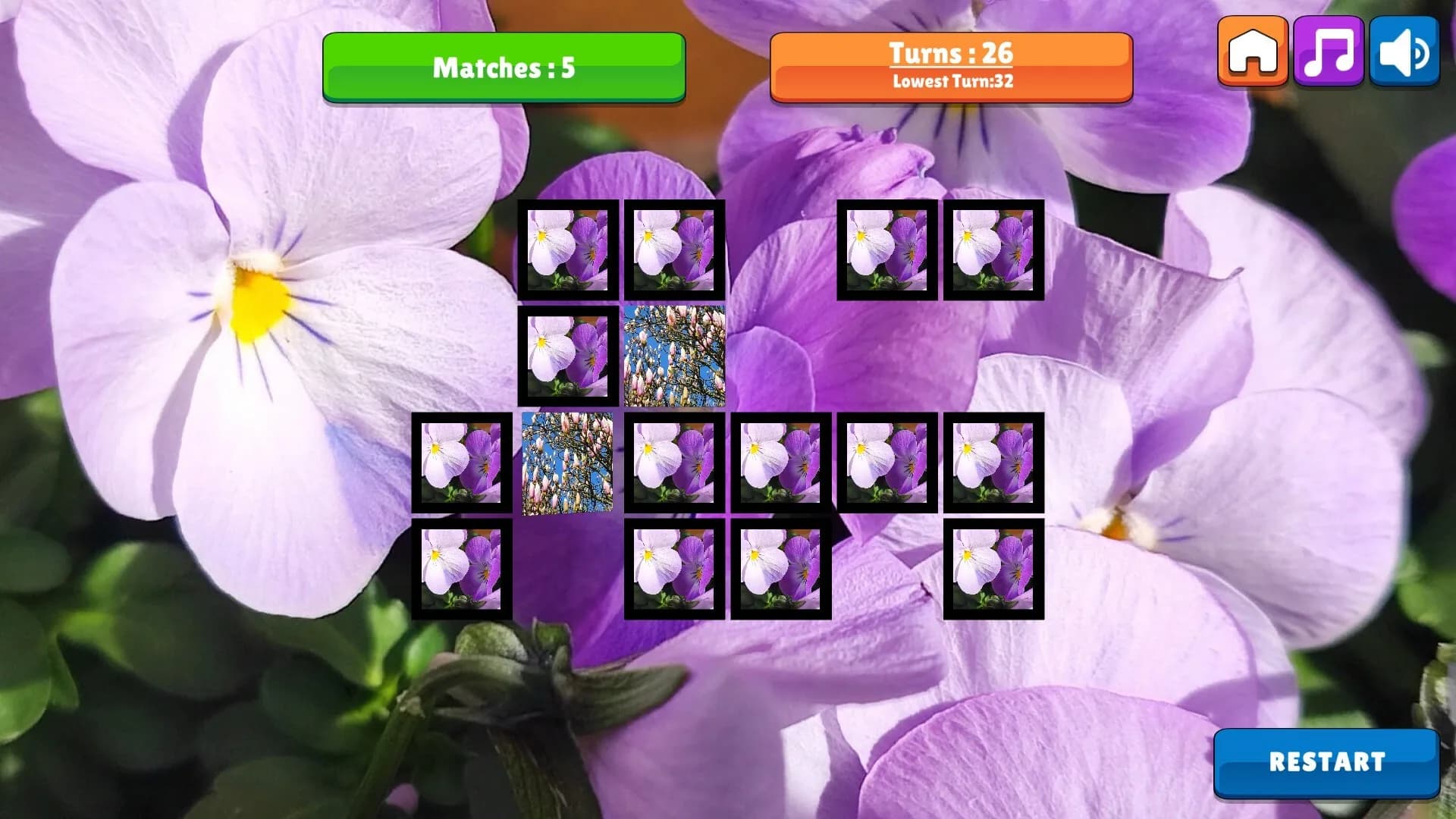 OG Memory: Spring 2K24 görsel 3