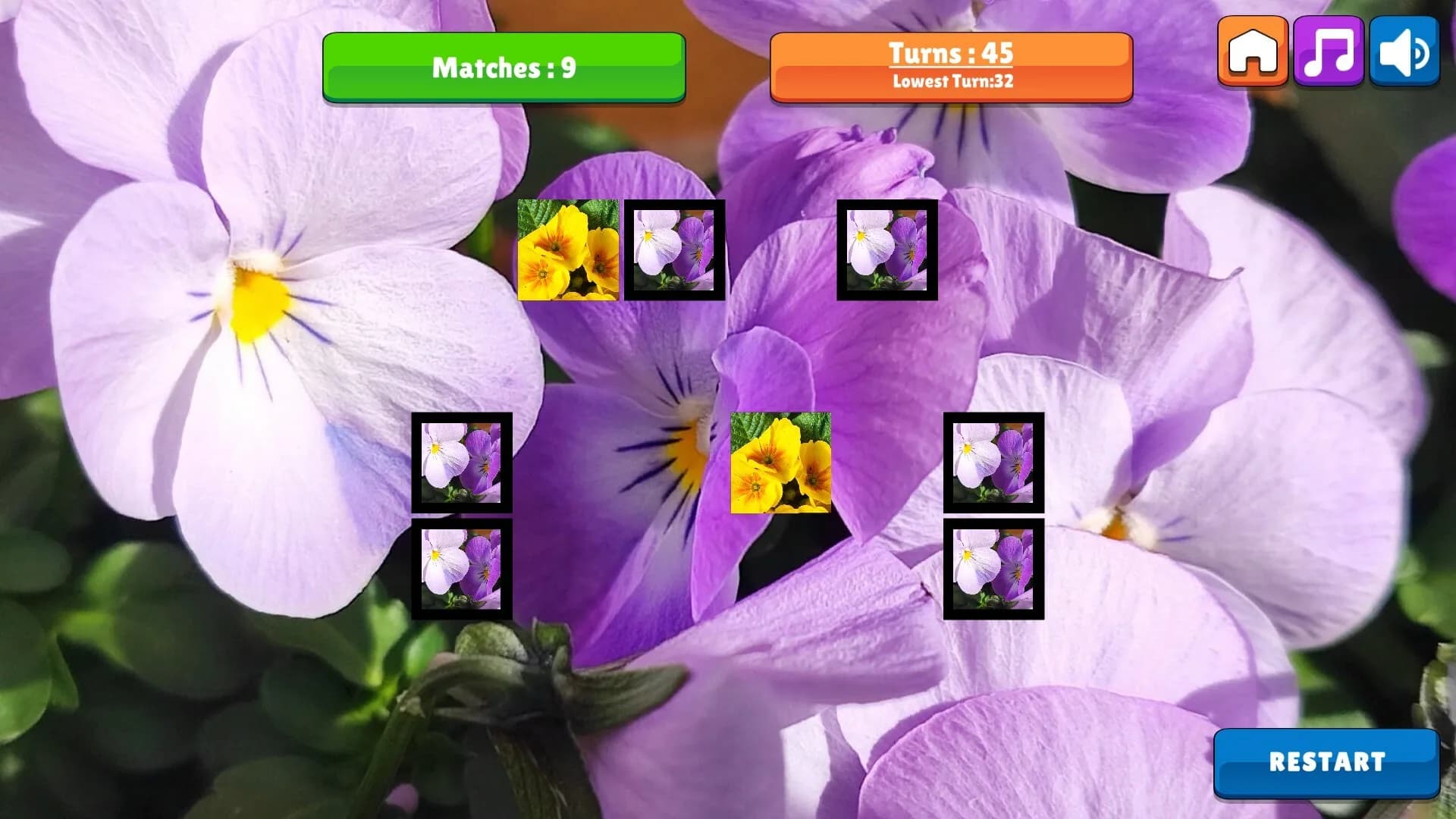 OG Memory: Spring 2K24 görsel 4