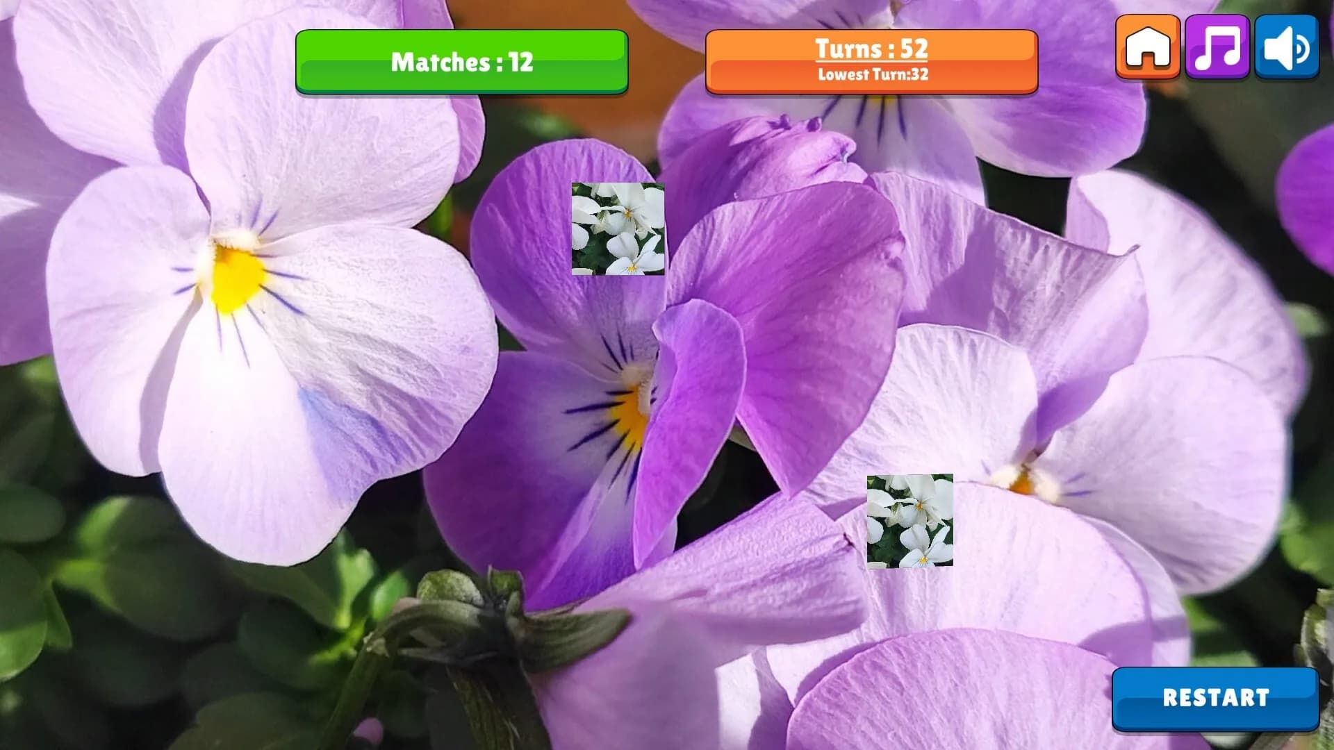 OG Memory: Spring 2K24 görsel 5