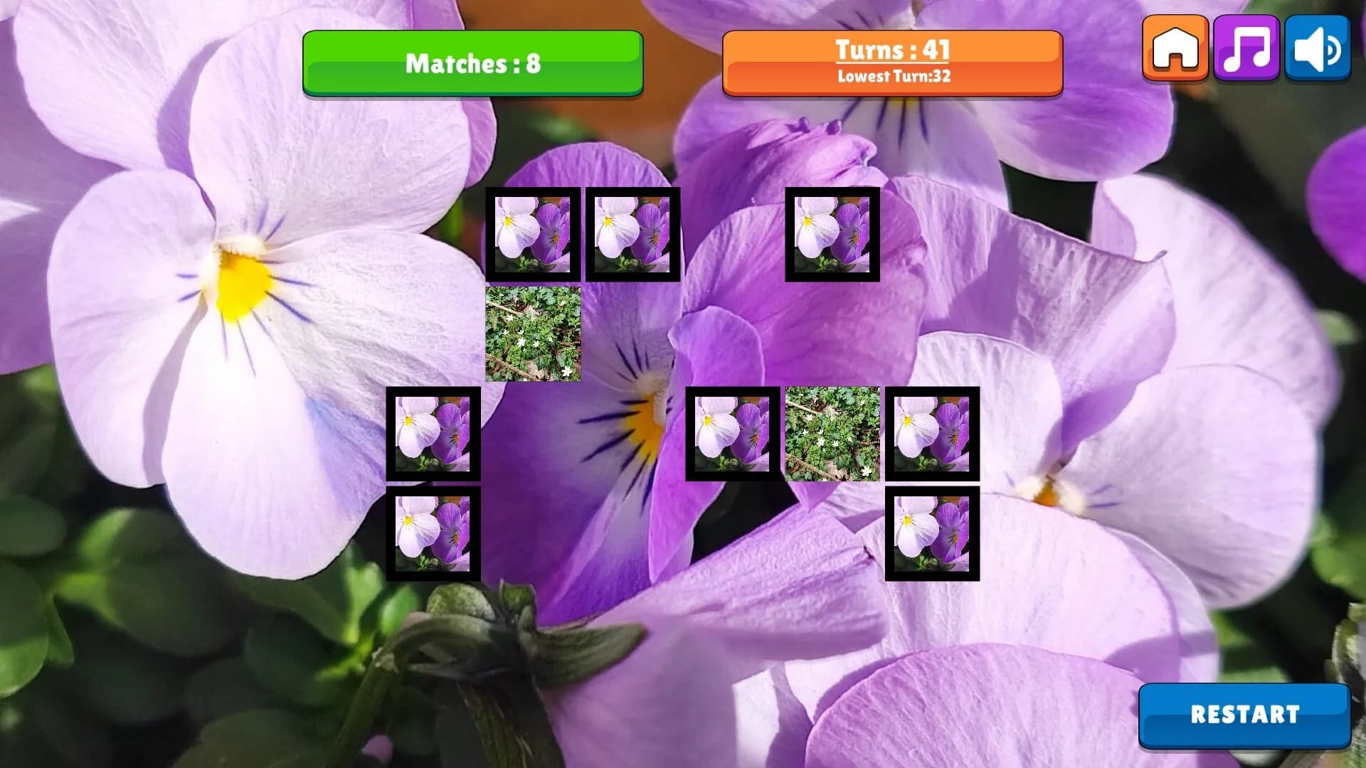 OG Memory: Spring 2K24 görsel 6