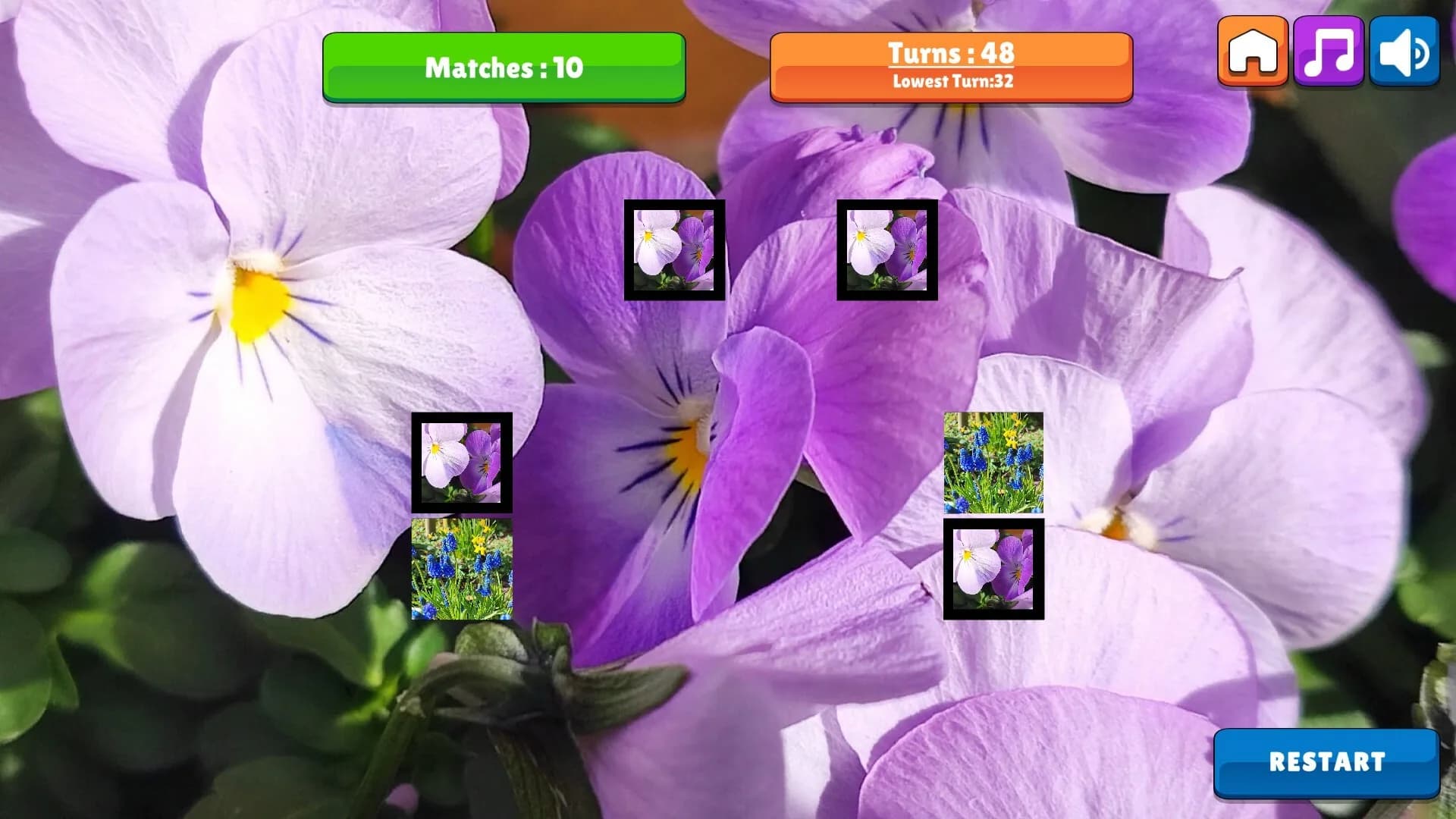 OG Memory: Spring 2K24 görsel 7