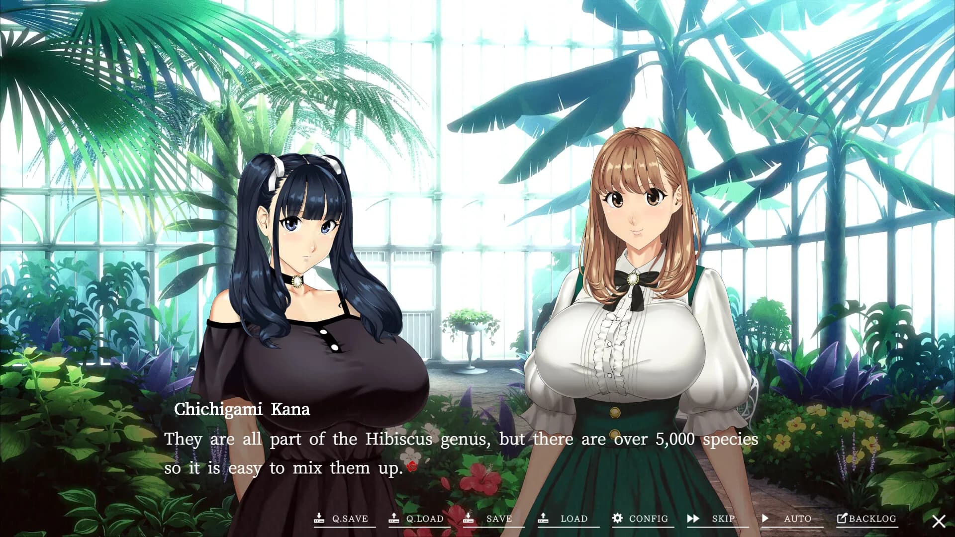 Welcome to Maison Chichigami görsel 4