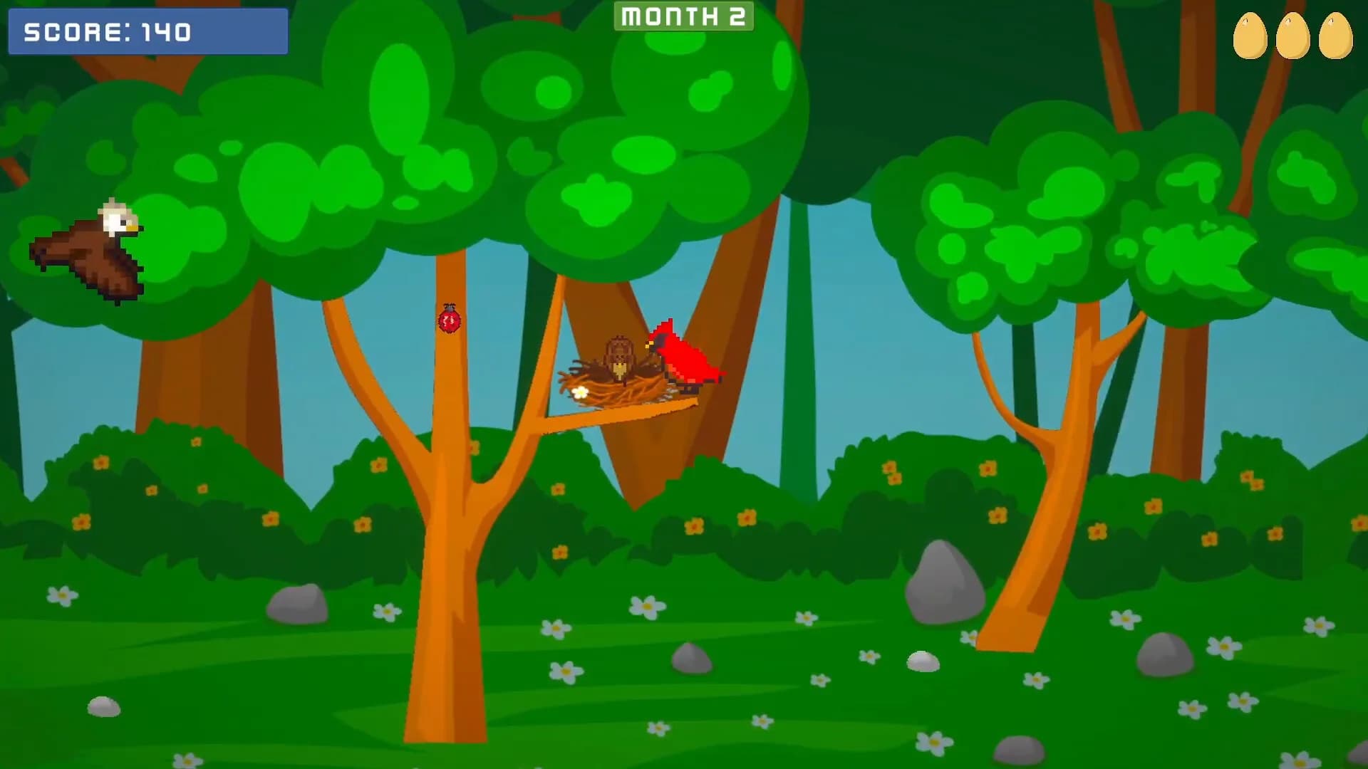 Bird Year görsel 2