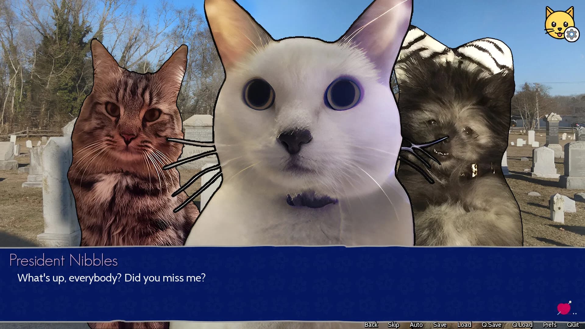 Cat President: 3rd-Rate Candidate görsel 6