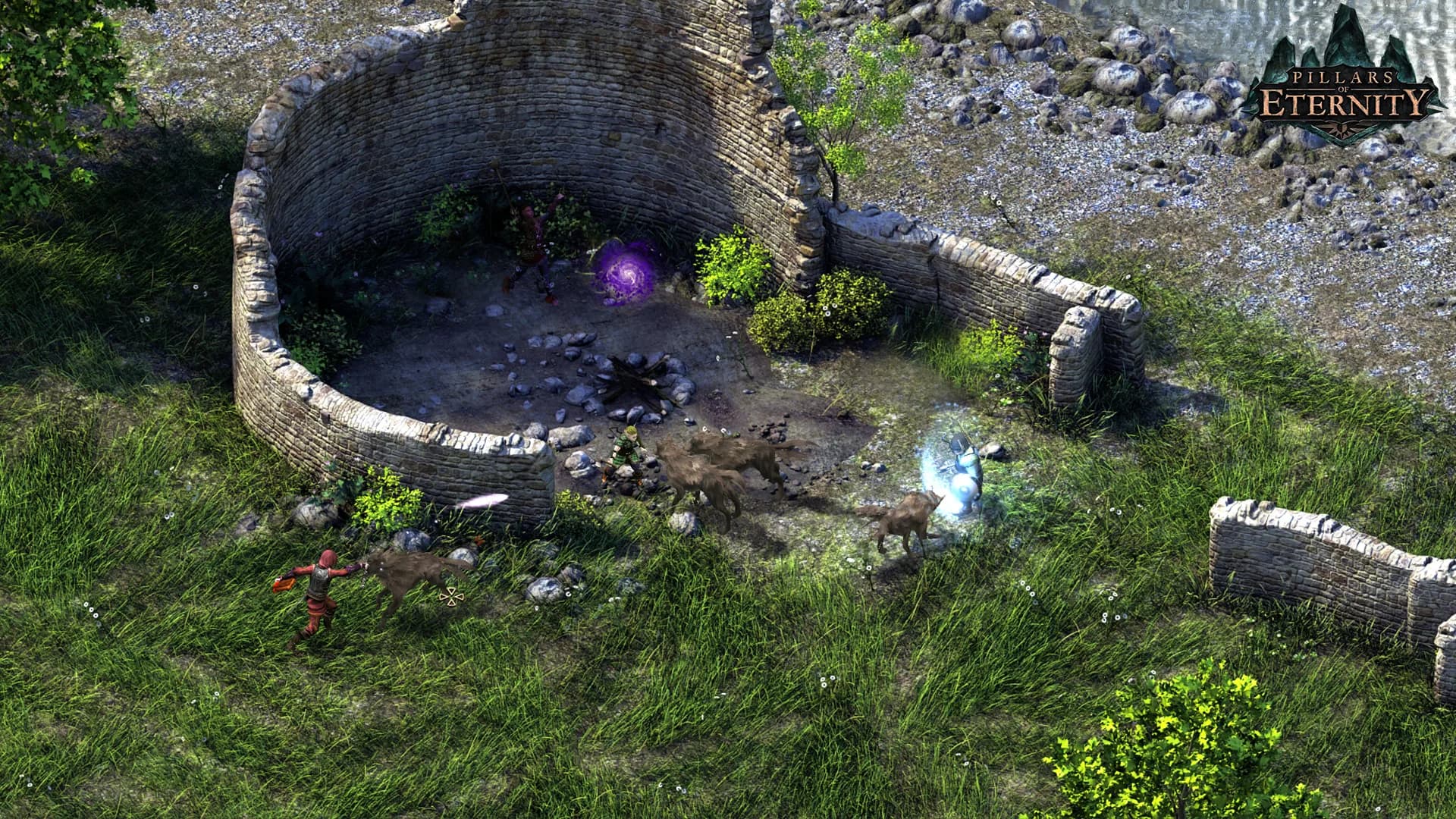 Pillars of Eternity görsel 13