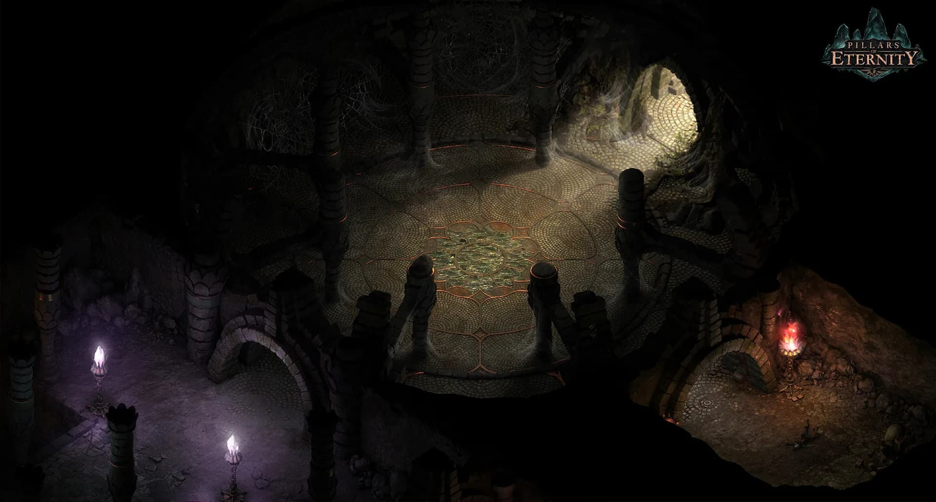 Pillars of Eternity görsel 4