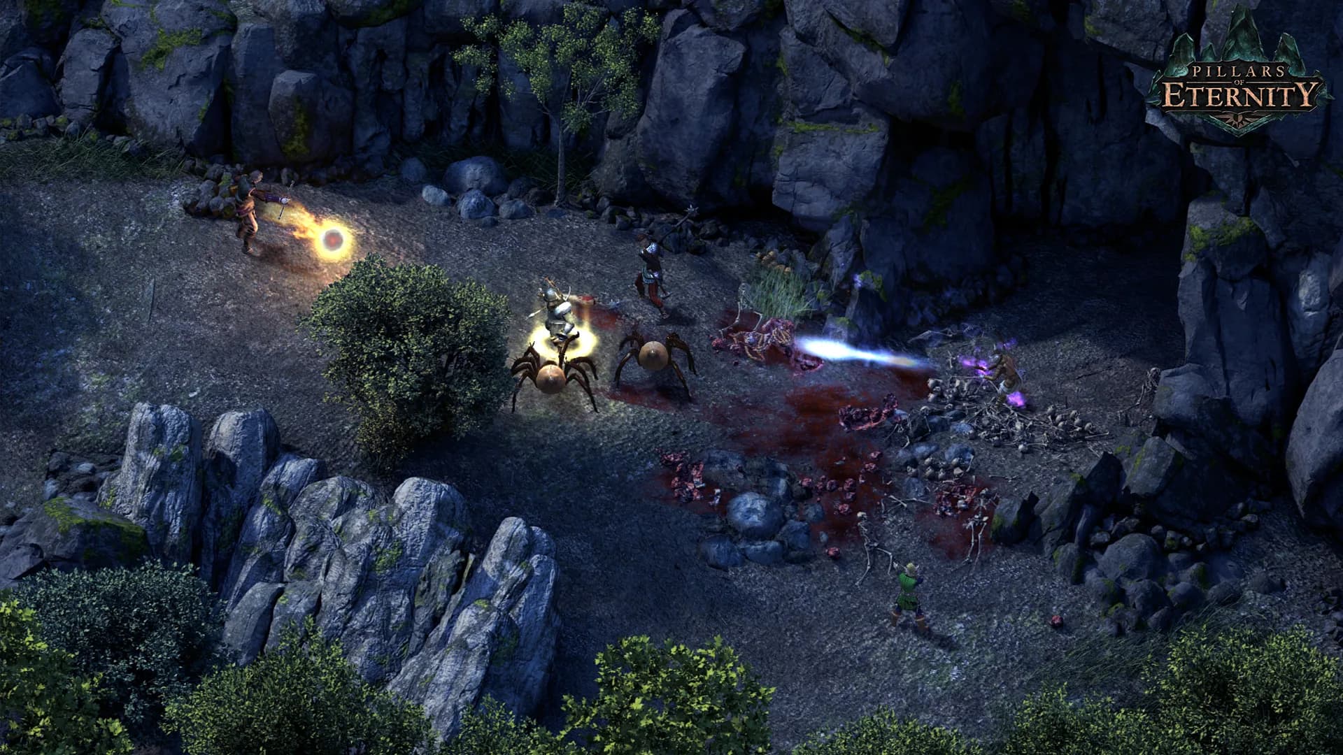 Pillars of Eternity görsel 5