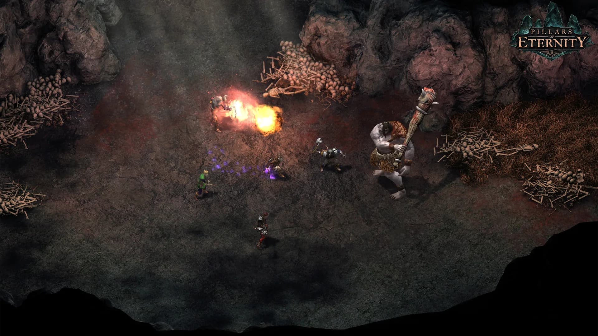 Pillars of Eternity görsel 7