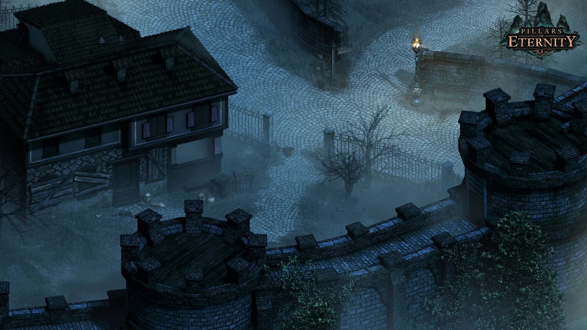 Pillars of Eternity görsel 8